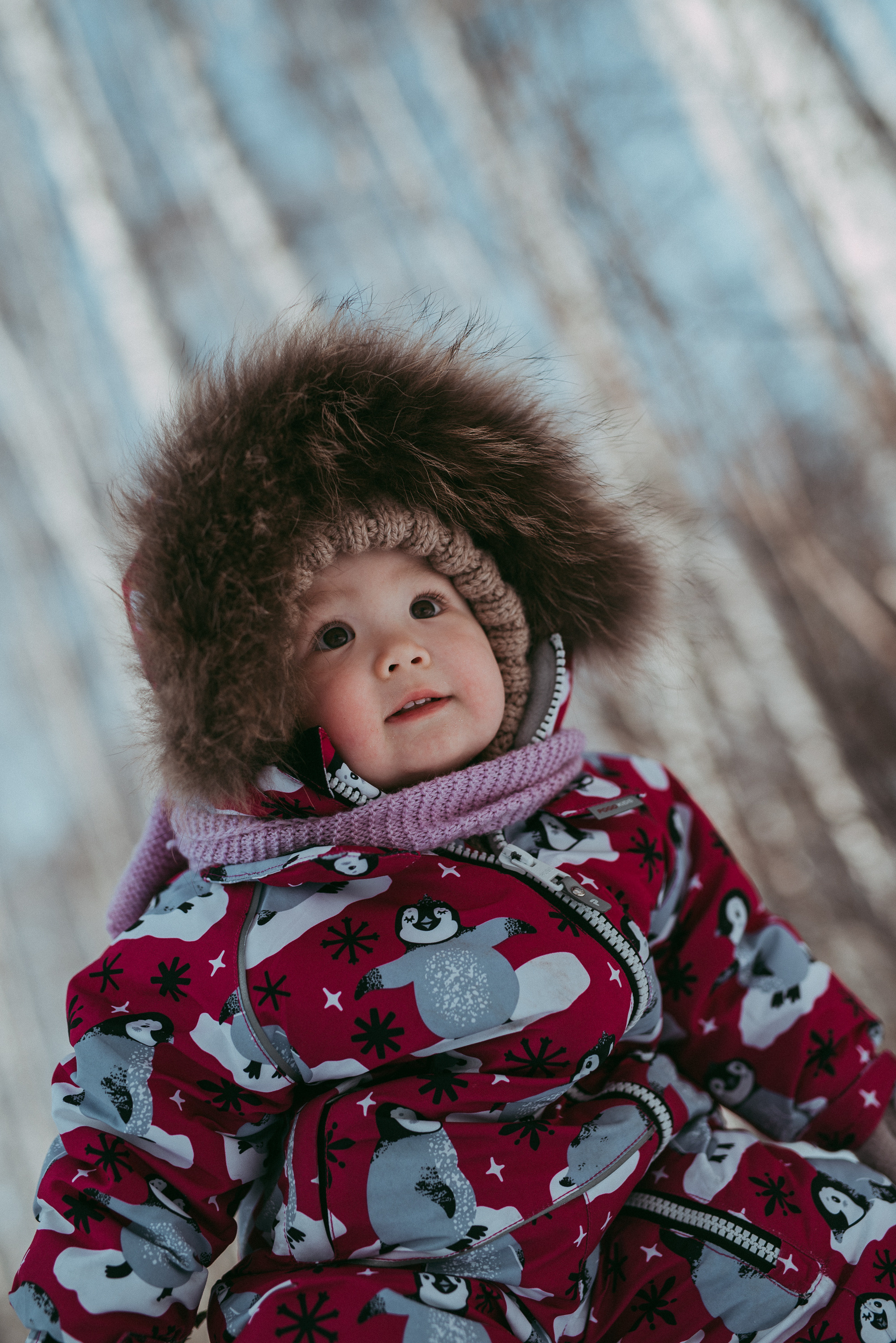 Зимняя сказка. Семейный и детский фотограф в Новосибирске и Краснообске — Анна Ким