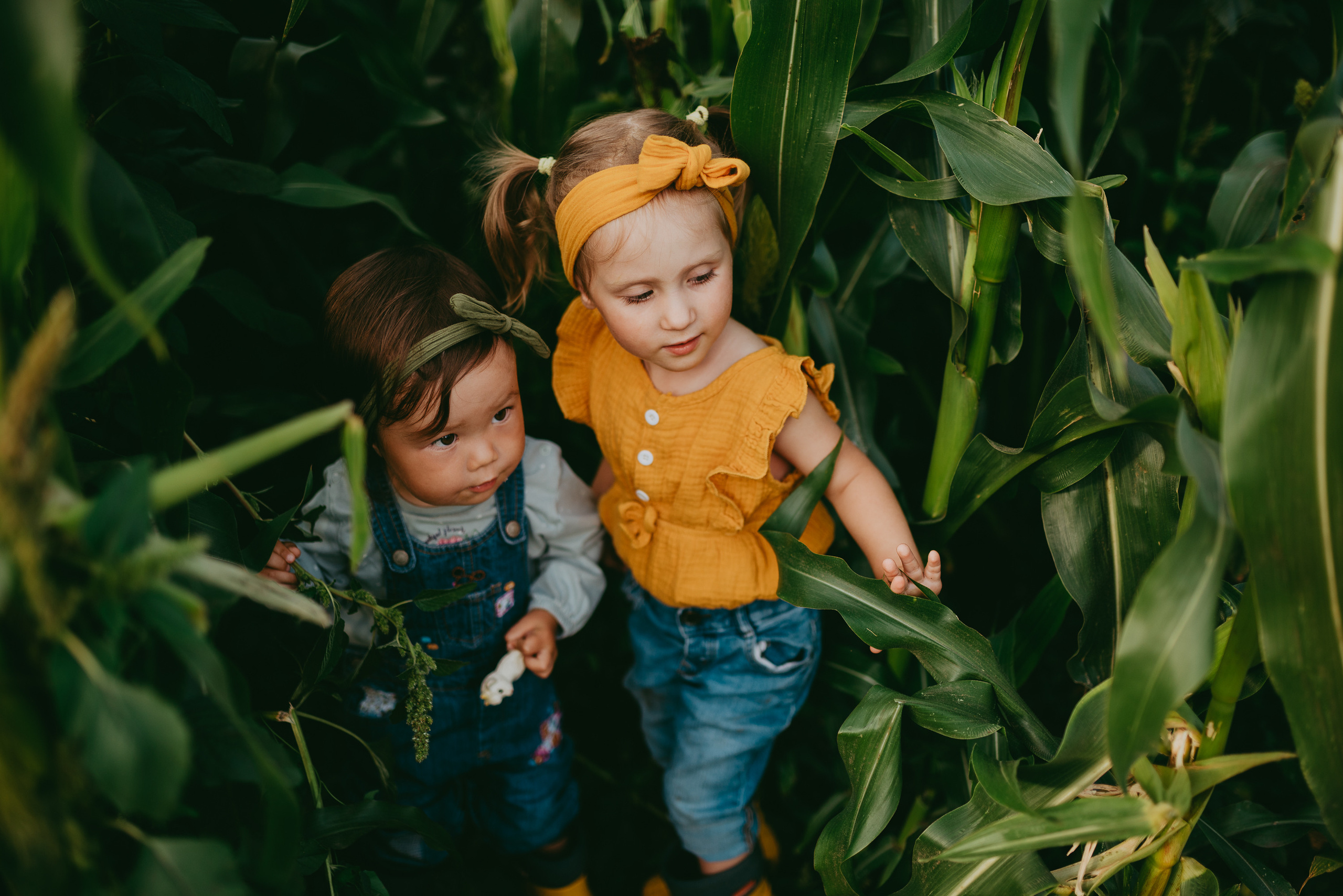 Кукурузка. Семейный и детский фотограф в Новосибирске и Краснообске — Анна Ким