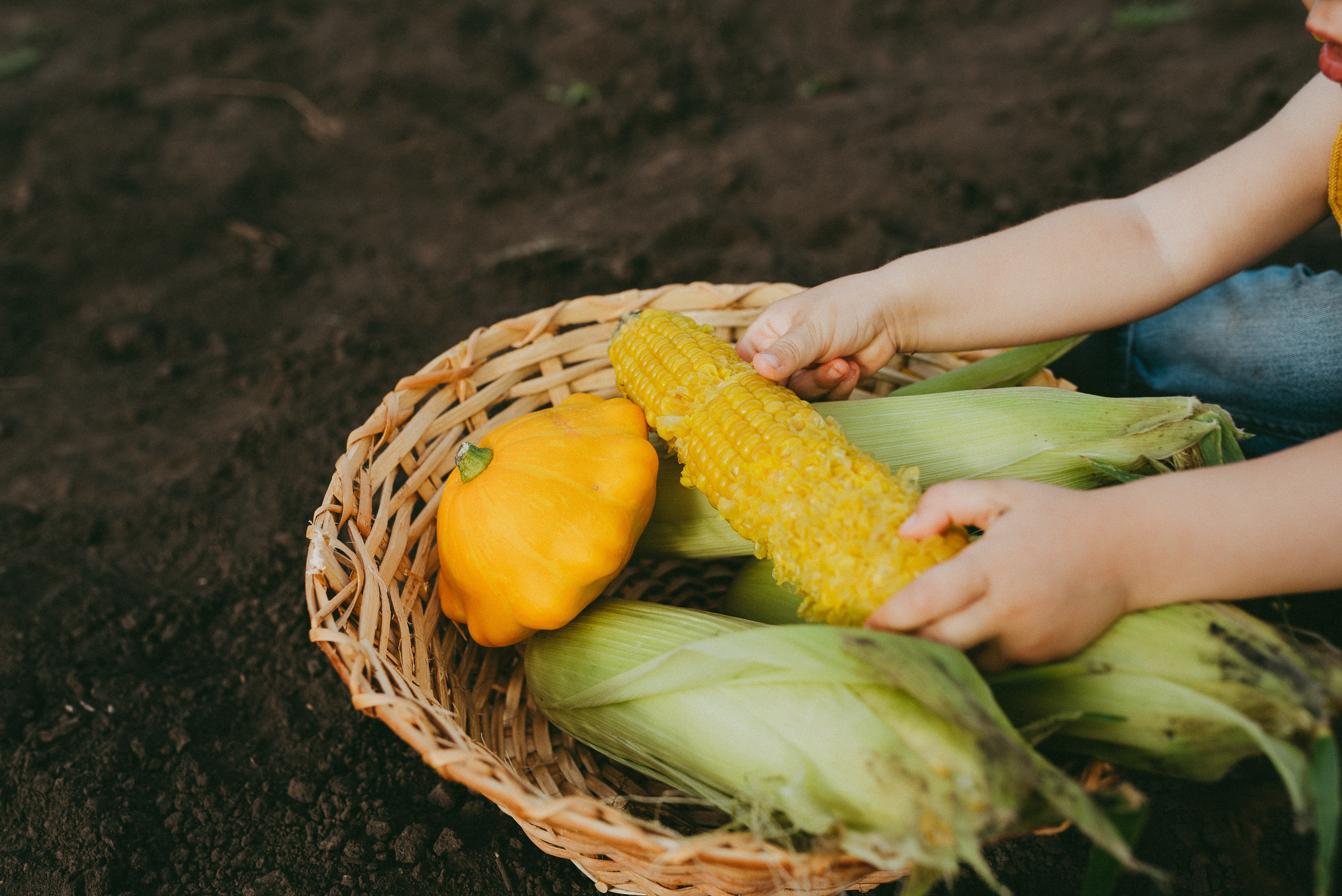 Кукурузка. Семейный и детский фотограф в Новосибирске и Краснообске — Анна Ким