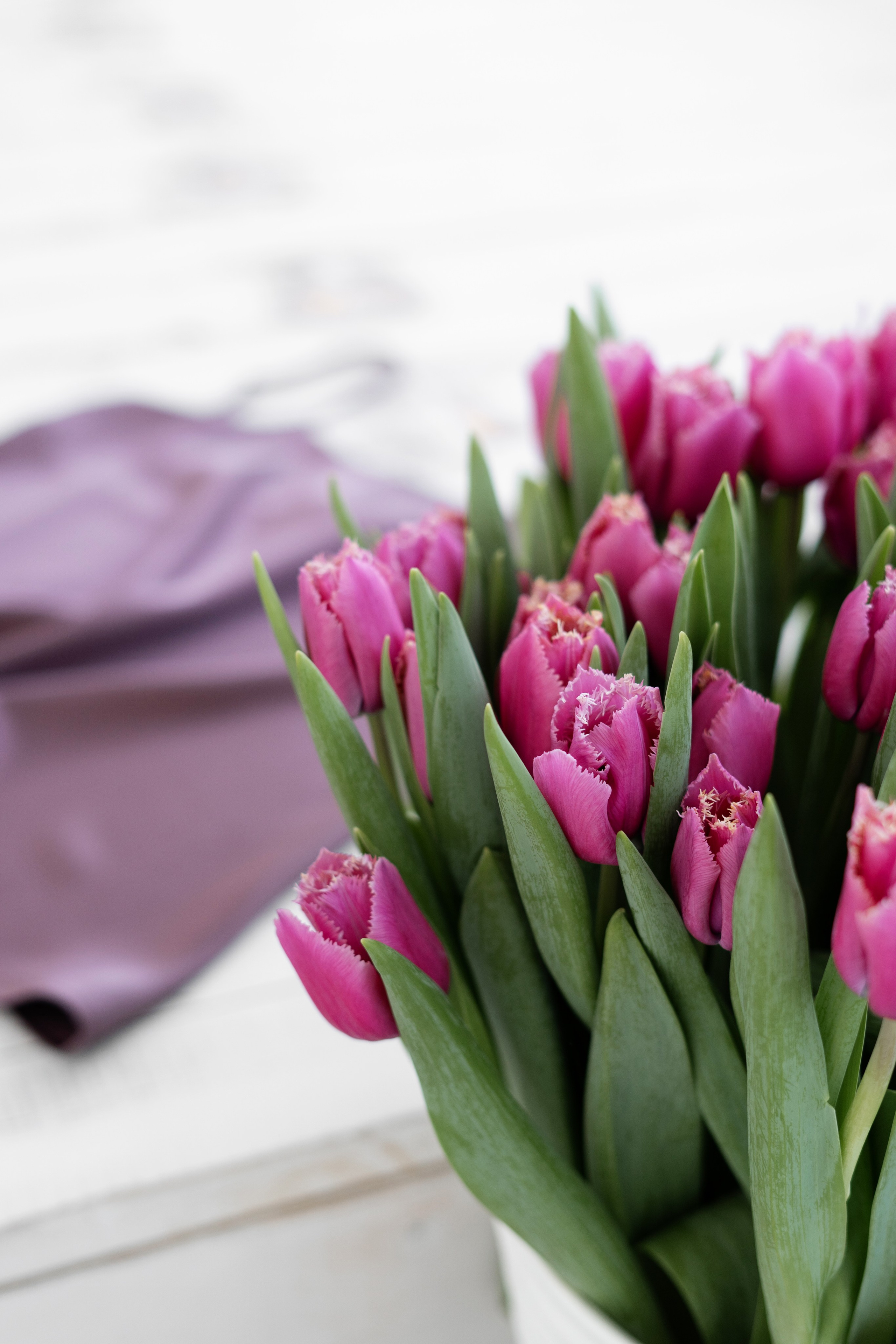 Предметная съемка. Индивидуальный фотограф в Красноярске