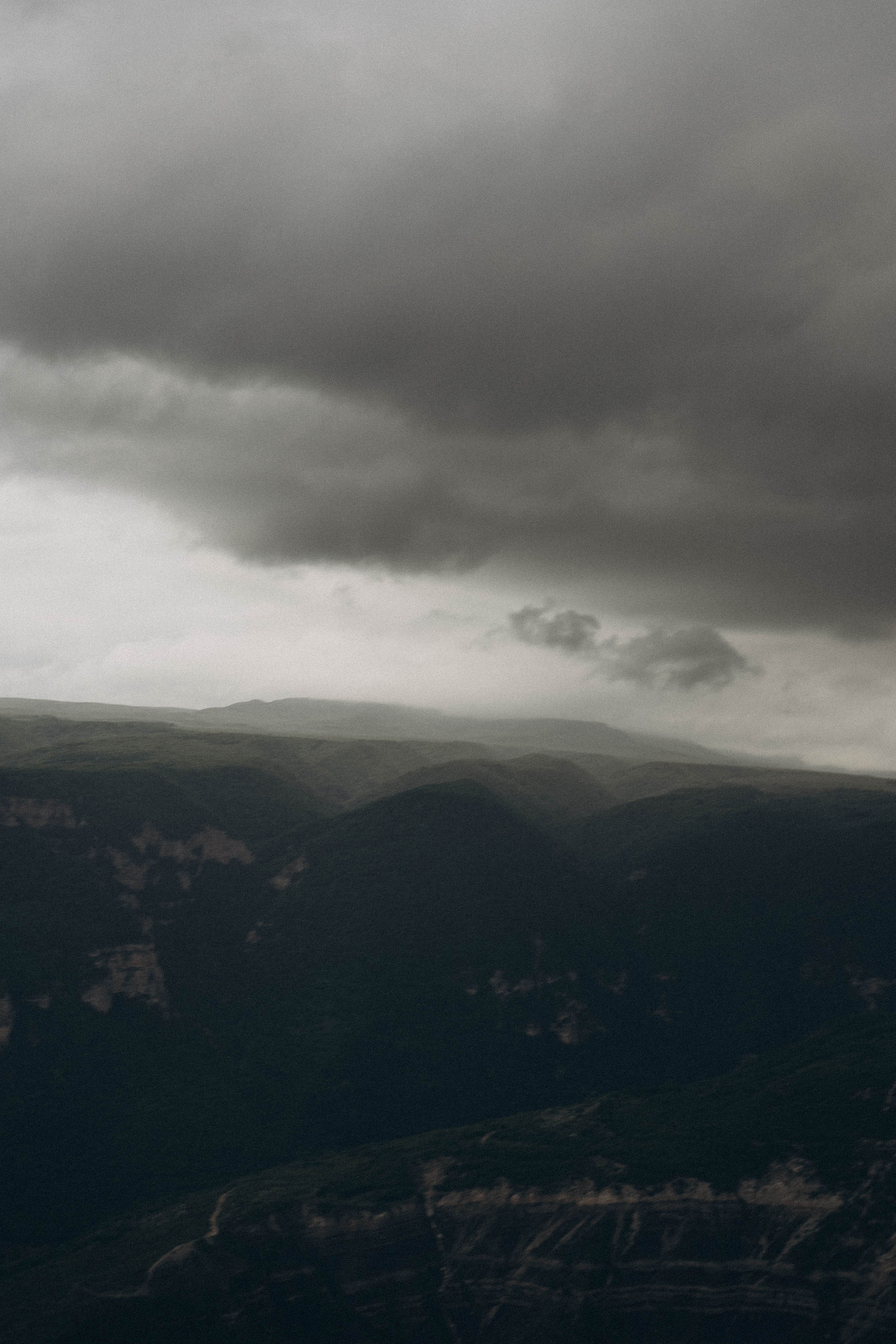 Кавказ. Профессиональный фотограф, Санкт-Петербург — Виктория Богомолова