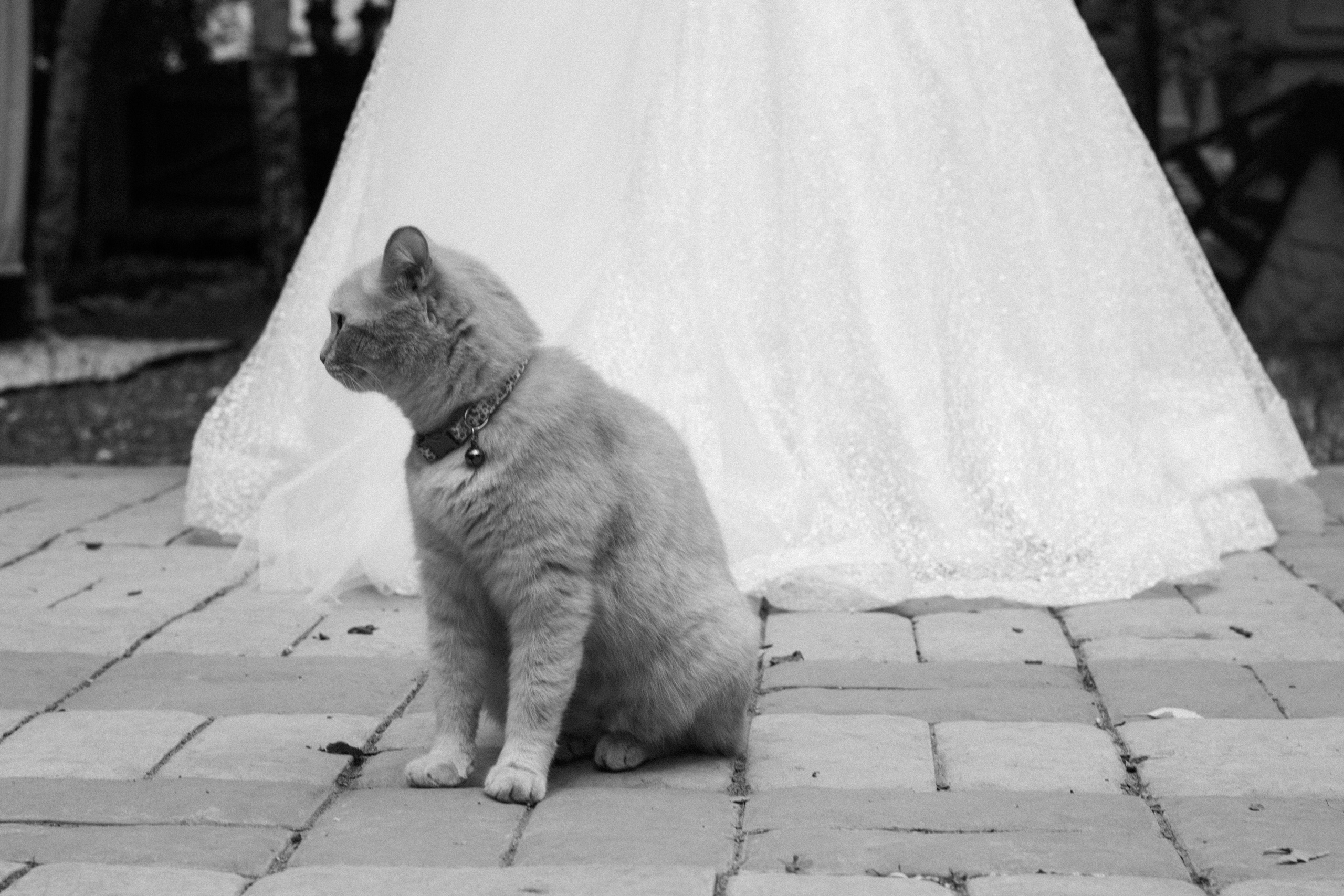 AMAN & AINURA. Индивидуальный фотограф в Оренбурге Кристина Студеникина