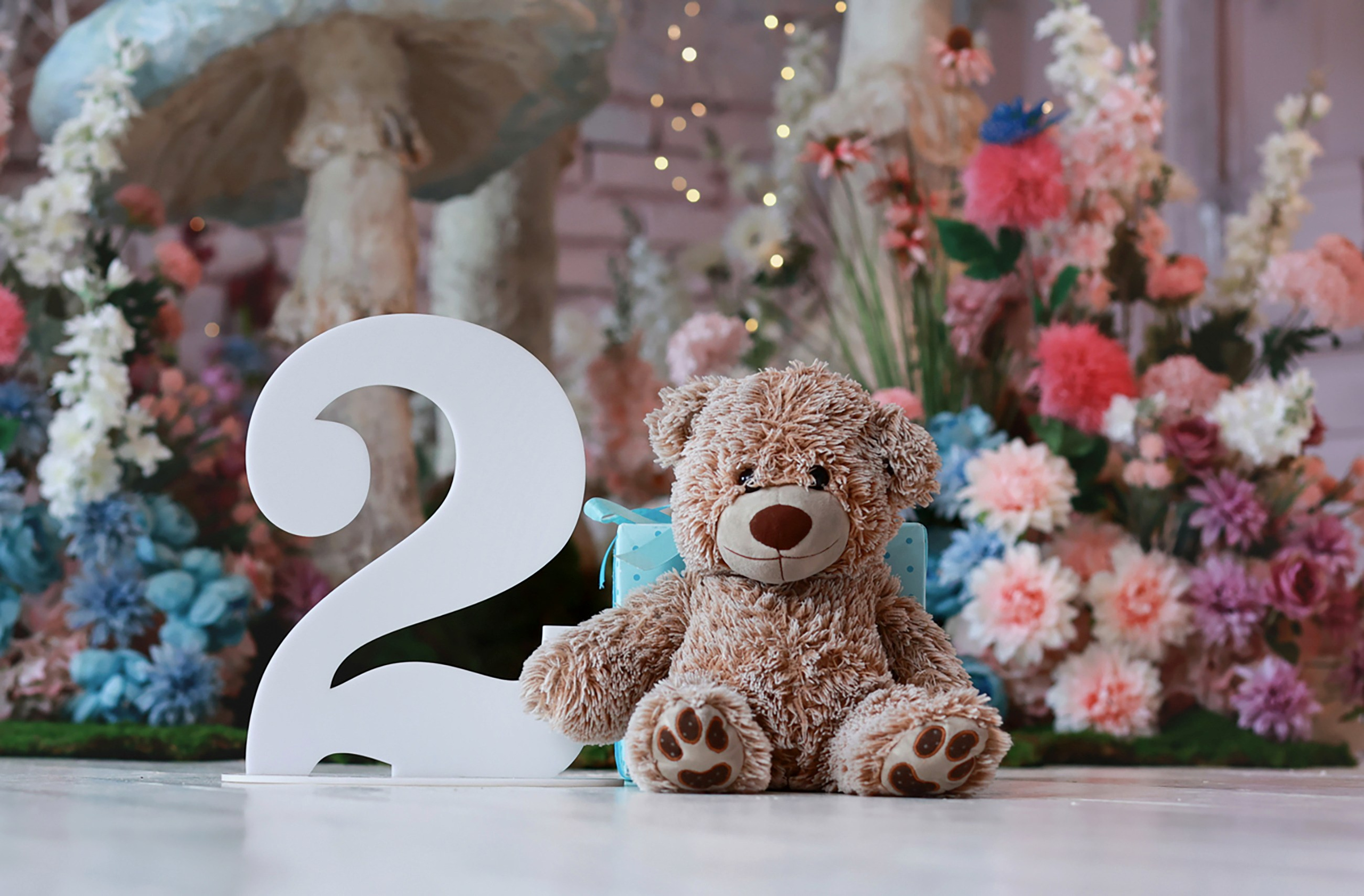 Интерьер фотостудии «Алиса», город Краснодар, Зиповская 5 Б. Семейный и детский фотограф в Краснодаре Анна Трашкова