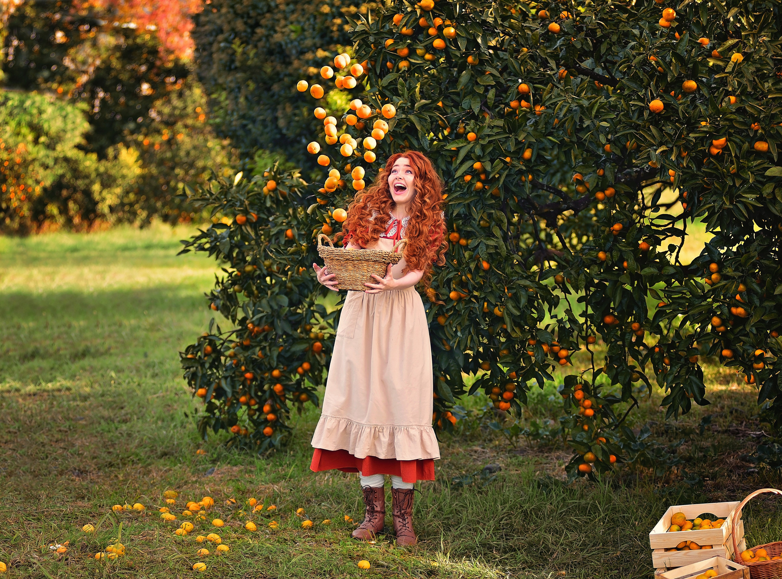 Мандарины. Главная