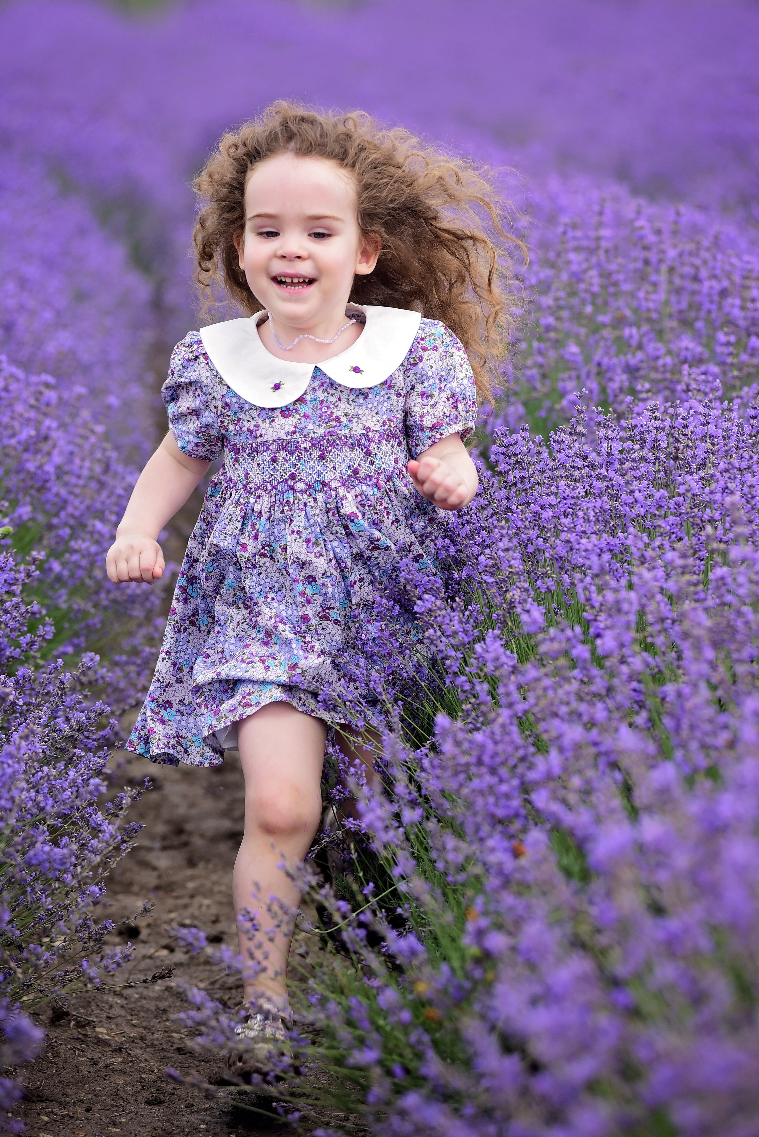 Лаванда. Главная