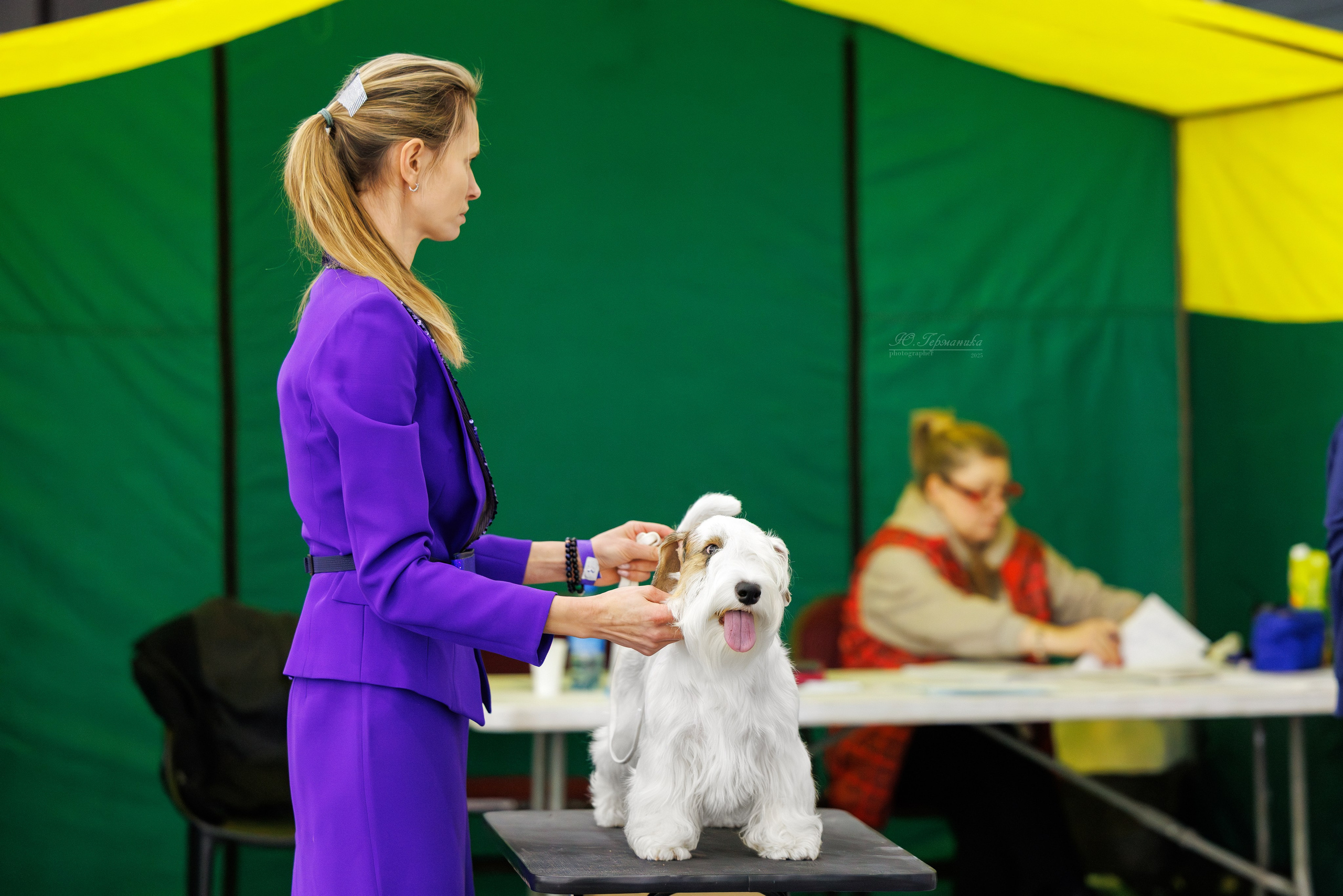 Питер 12-13.12.2025. Фотограф-анималист Юлия Германика