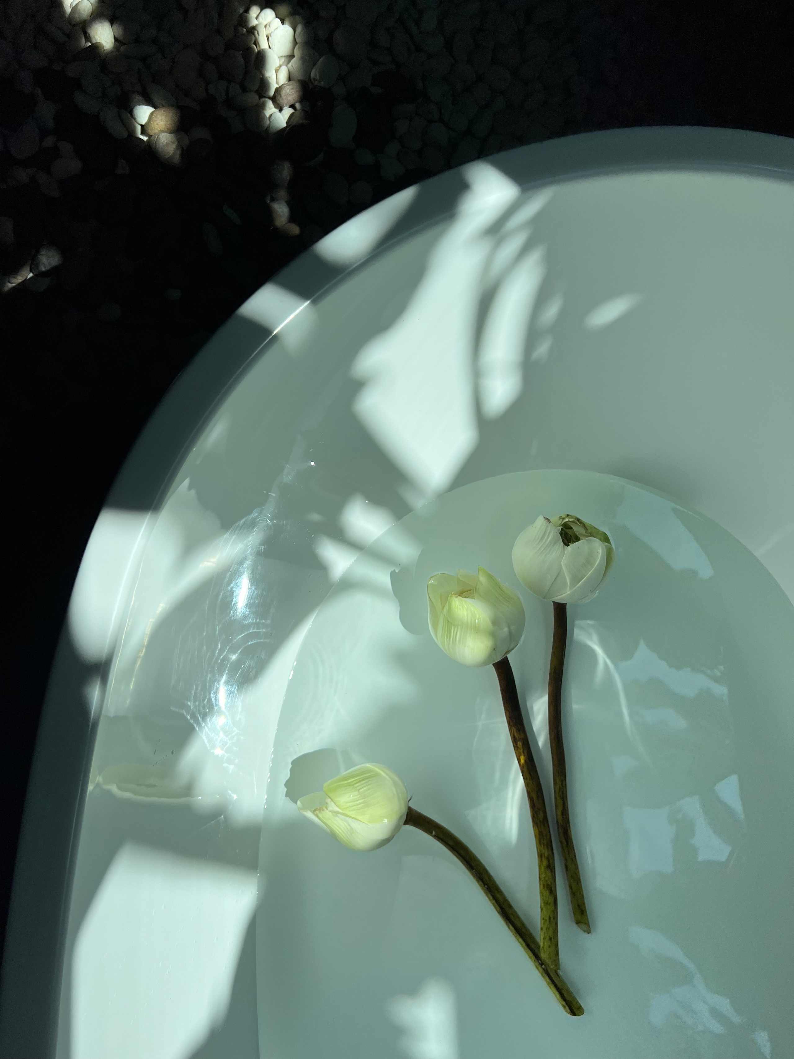 Дизайн интерьера и декорирование пространства мебелью и аксессуарами по всему миру / Баронкина Алена