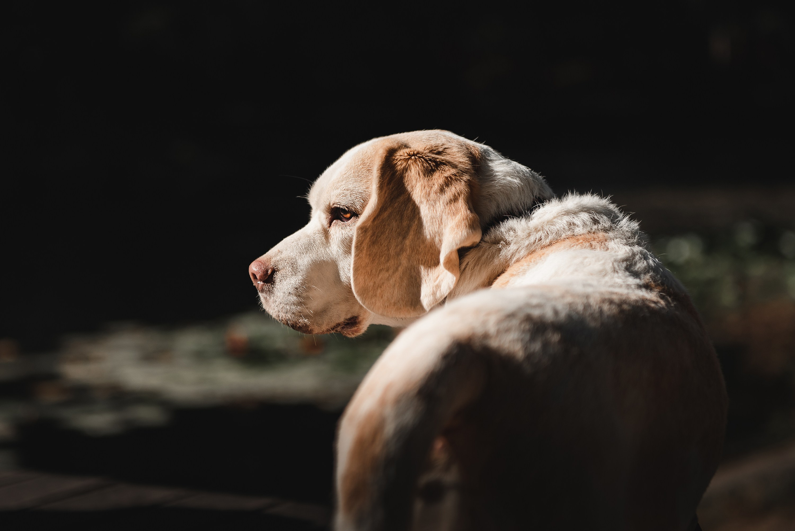 Оля и Ника. Семейный Фотограф в Москве Ирина Хохлова