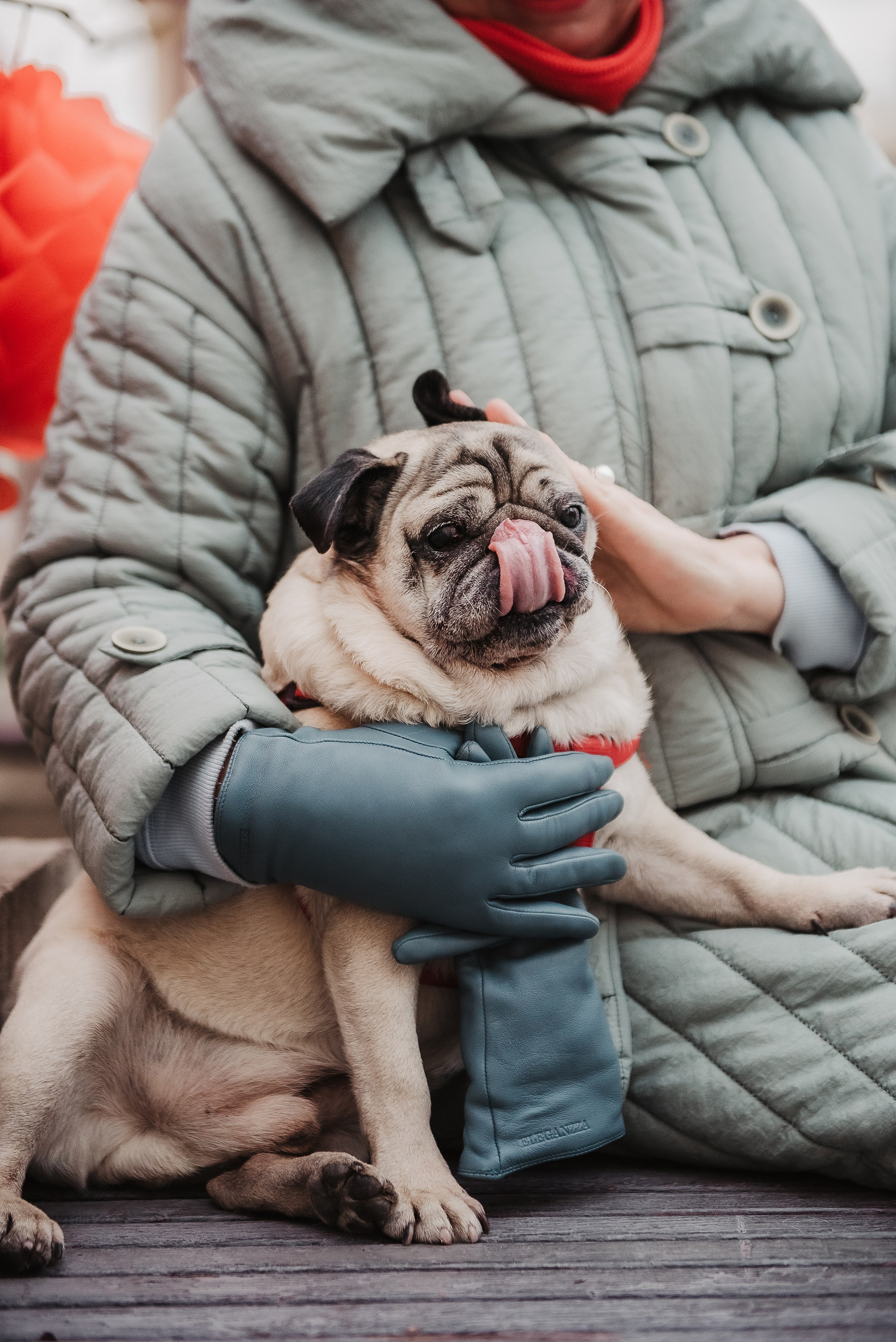 Ольга и Потапум. Прогулка к чайному дому. Семейный Фотограф в Москве Ирина Хохлова