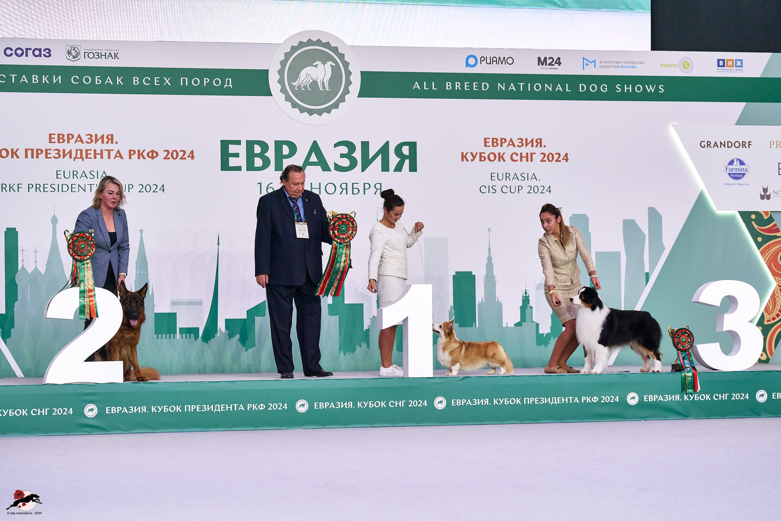 17.11.2024 «ЕВРАЗИЯ. КУБОК СНГ 2024»