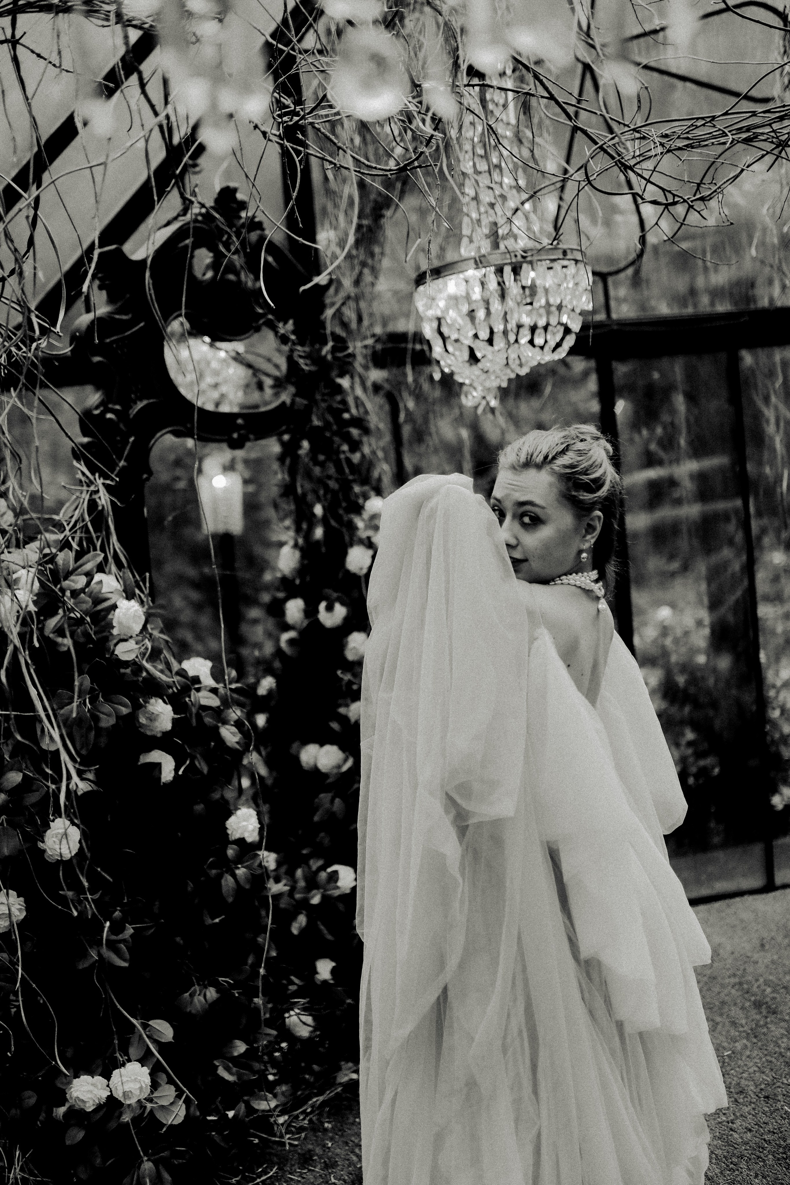 Зачарованный лес