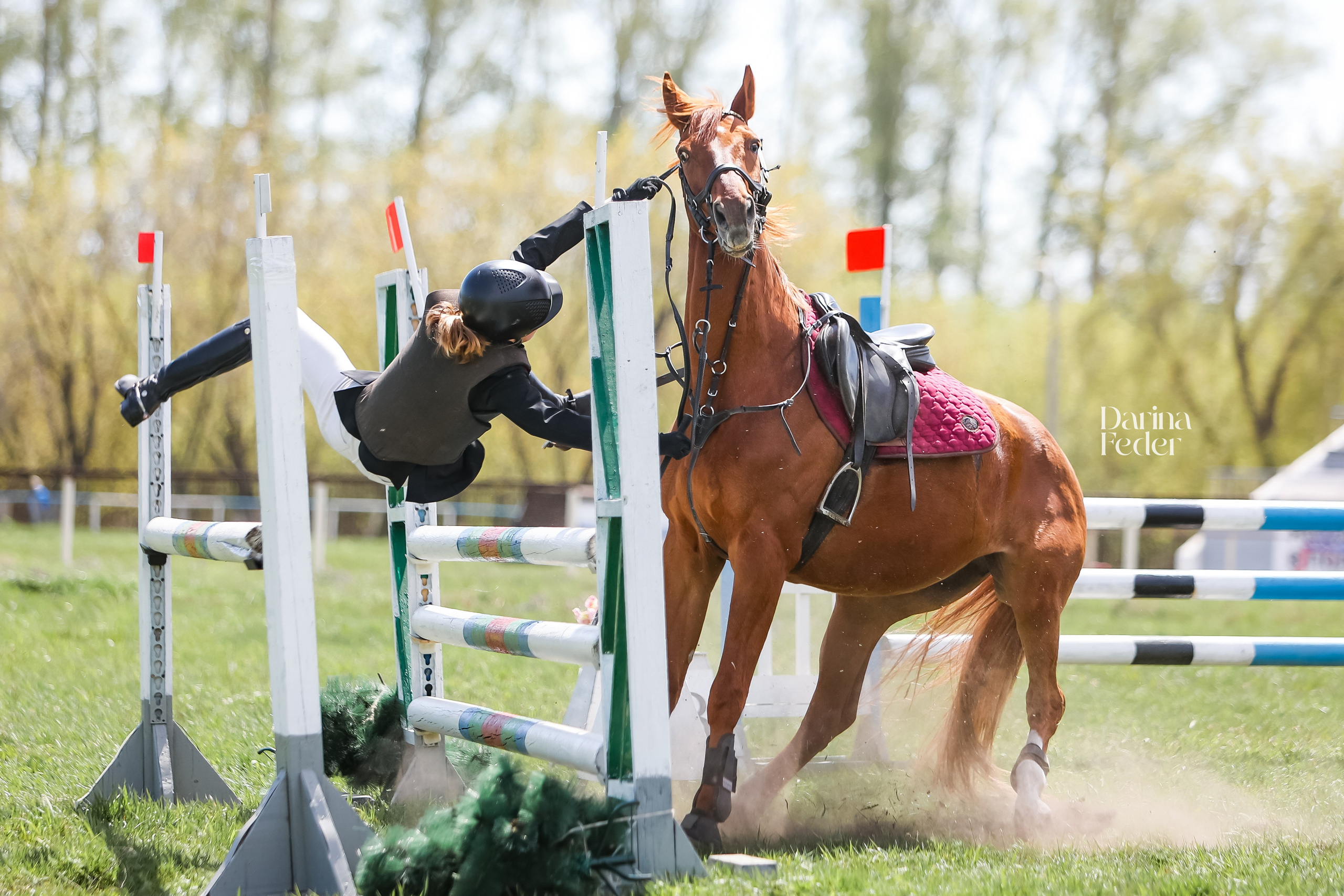 Репортаж соревнований. Главная