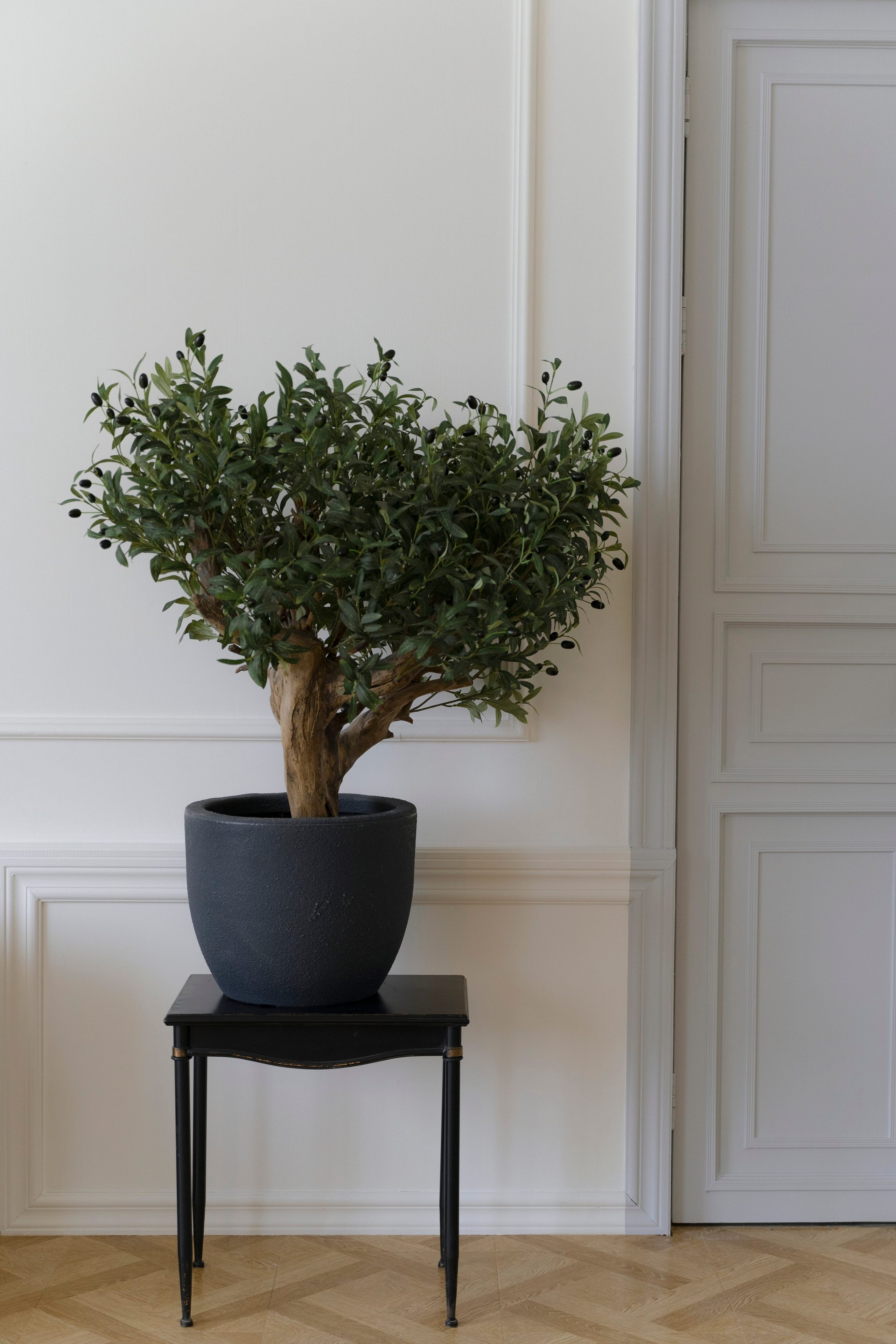 BOHEMIA. Детский семейный фотограф Краснодар