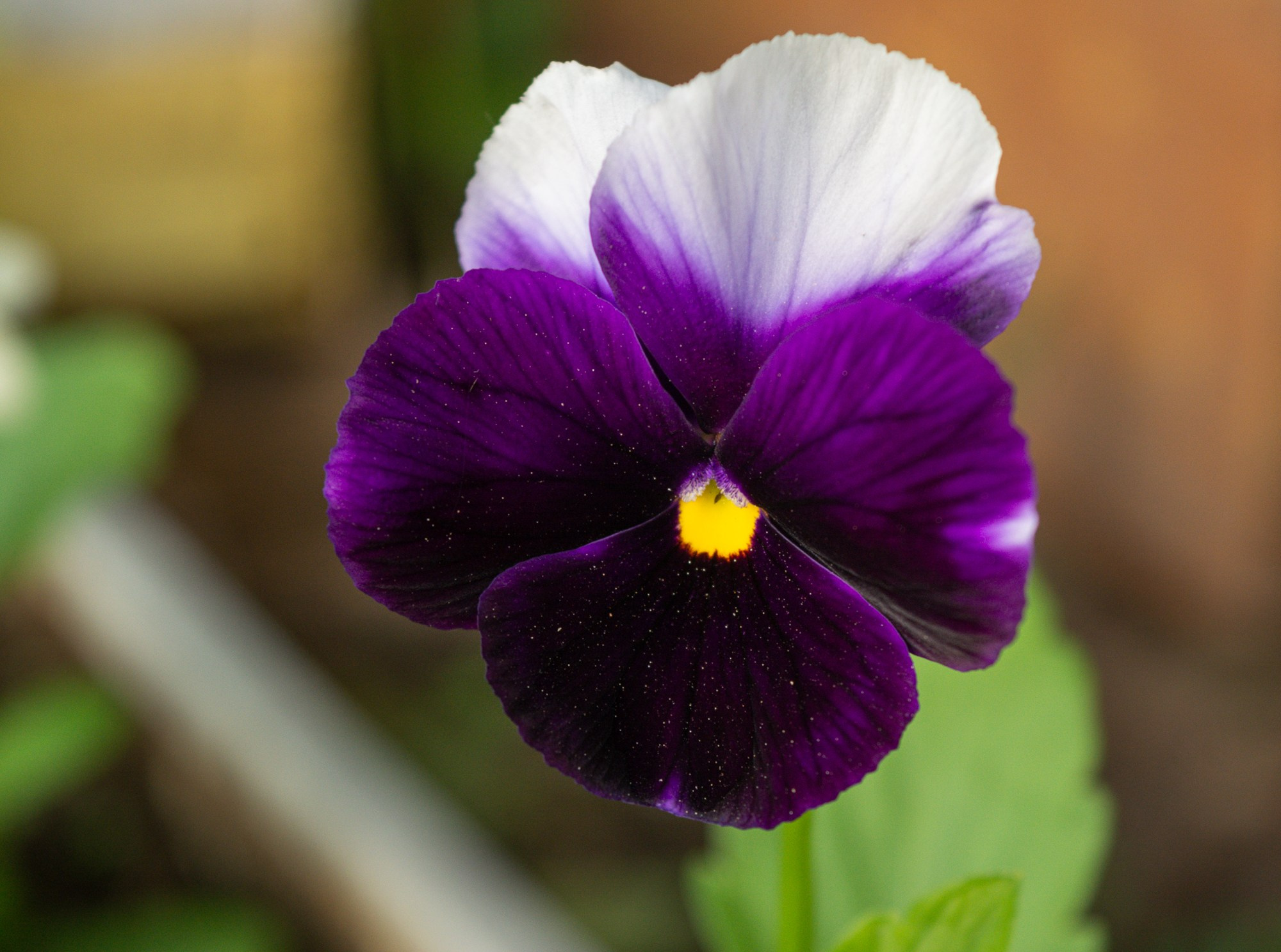 Разное. Репортажный фотограф г. Чита