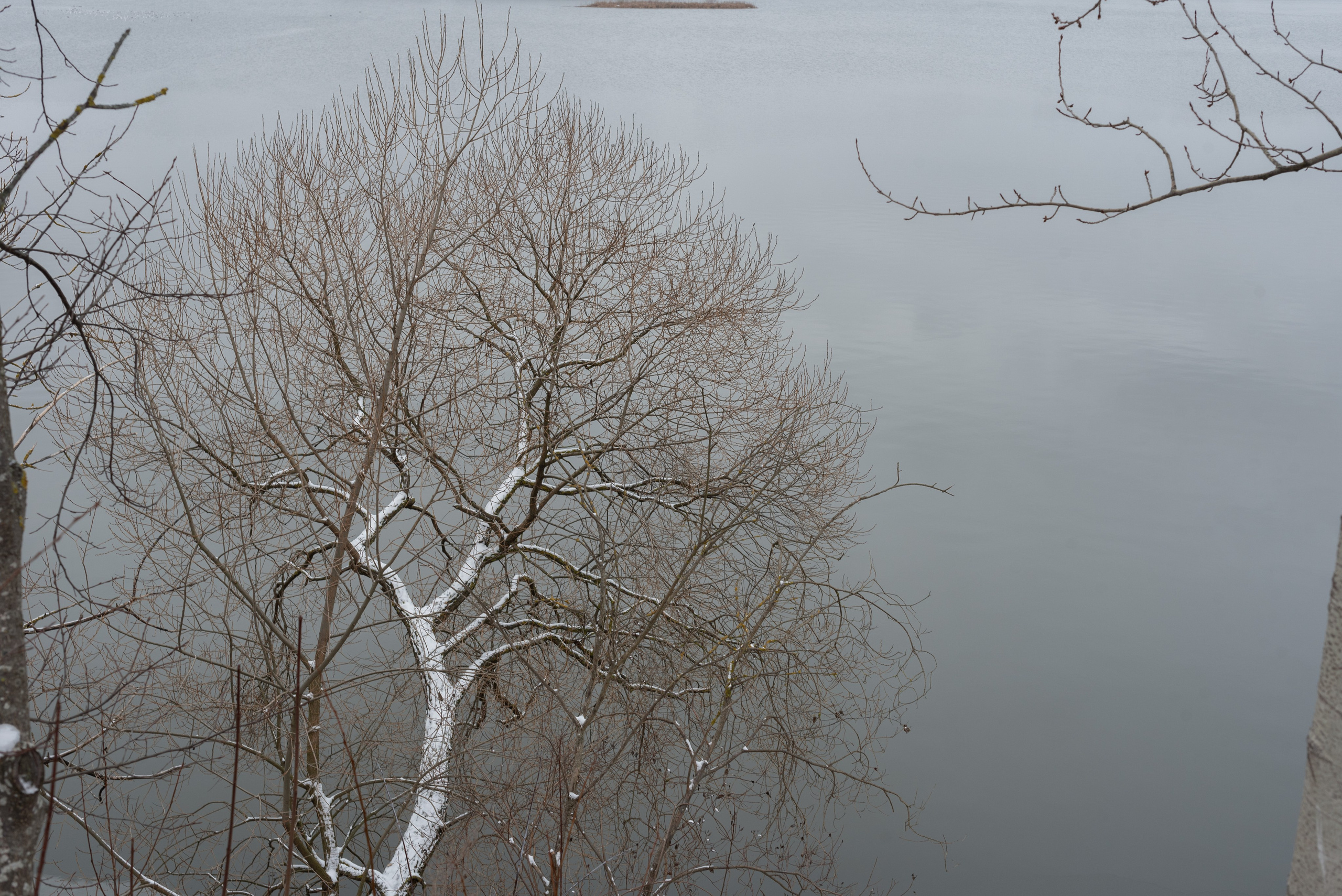 Контакты. Фотограф Крещения и Венчания. Минск и другие города. Почтенная Наташа