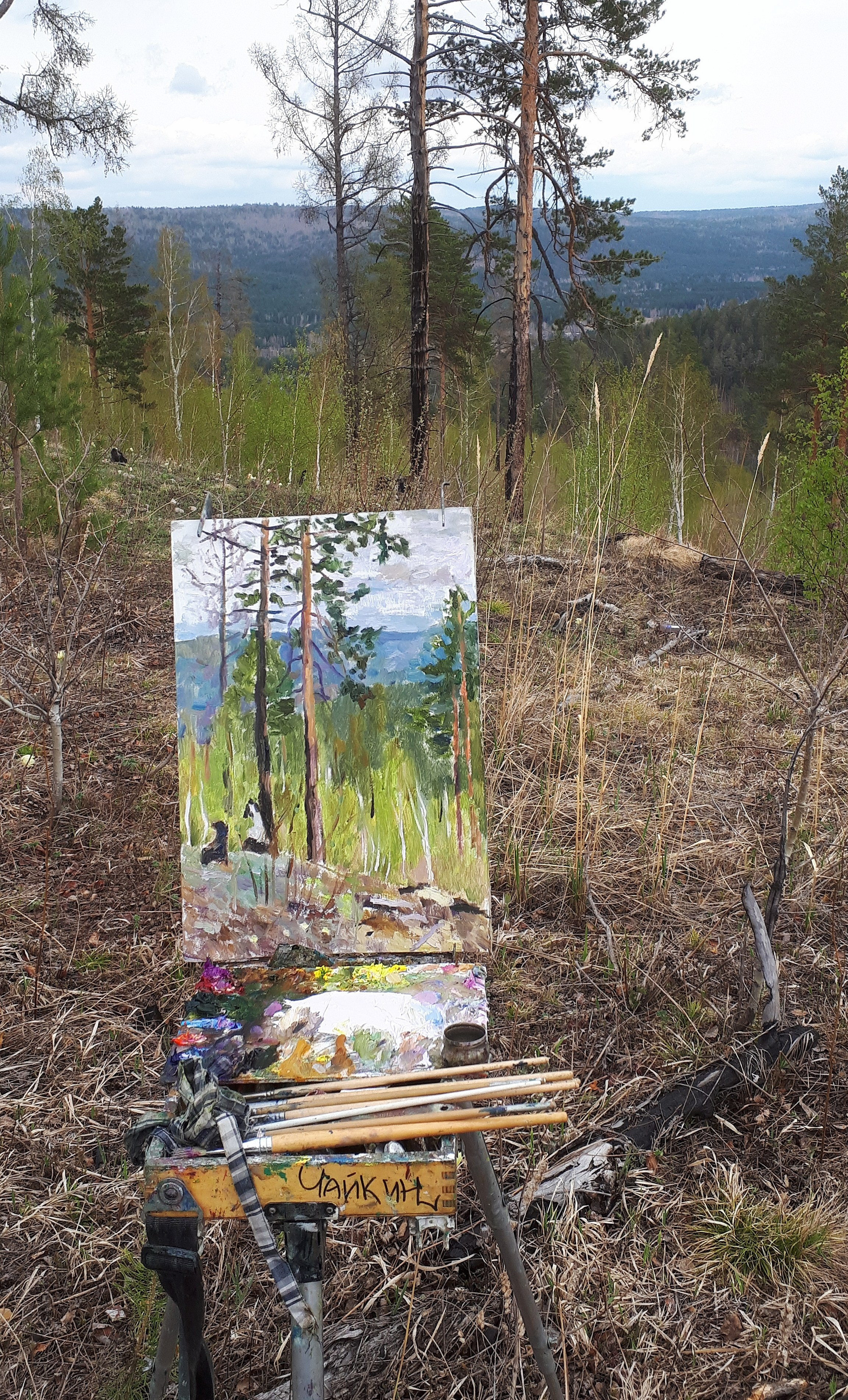 Сибирь, Байкал. Художник и гид по Камчатке Евгений Чайкин