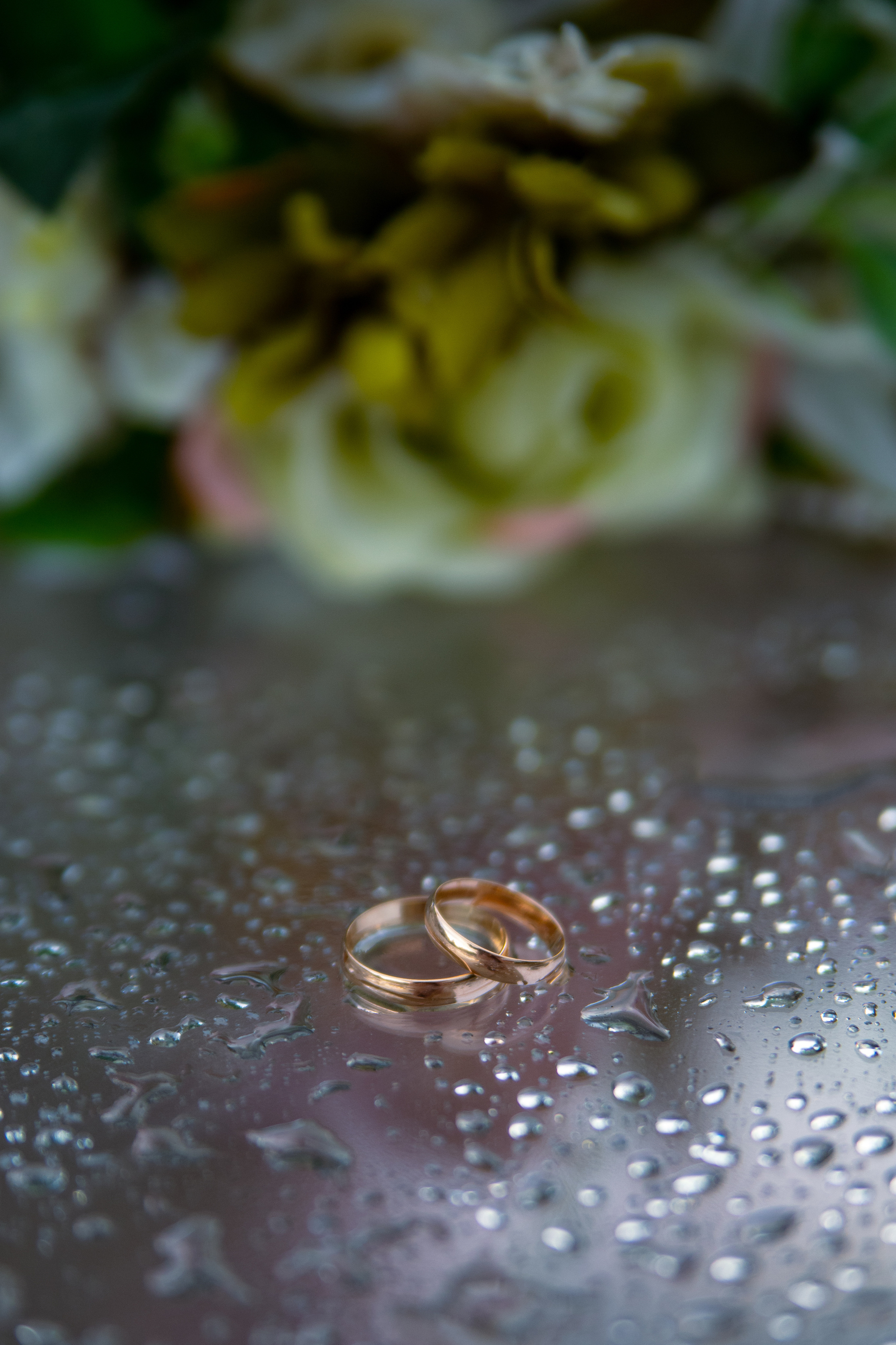 Влад + Дарья. Свадебный и семейный фотограф в Михайловке Полина Крипс