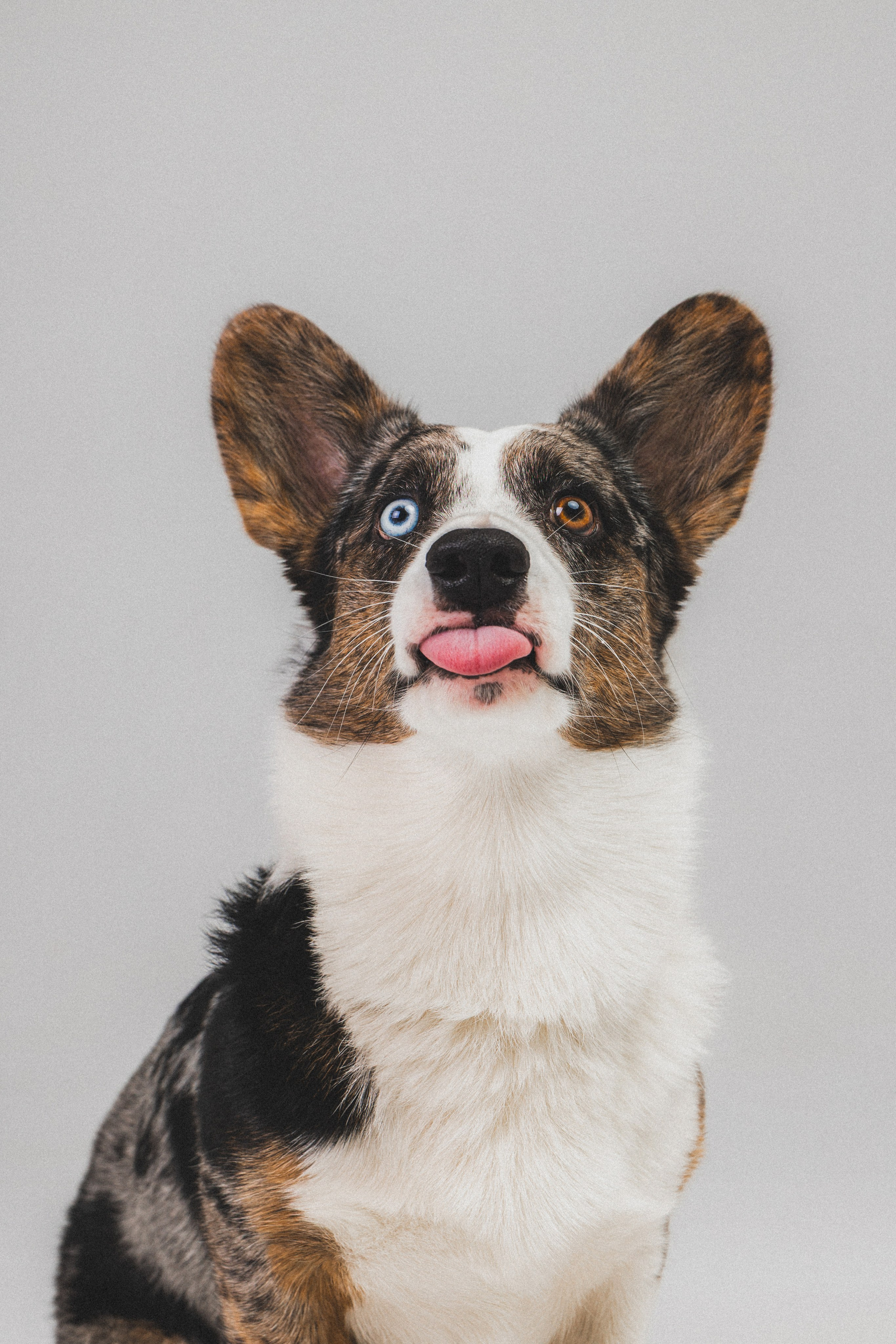 Анатолий и Рагнар