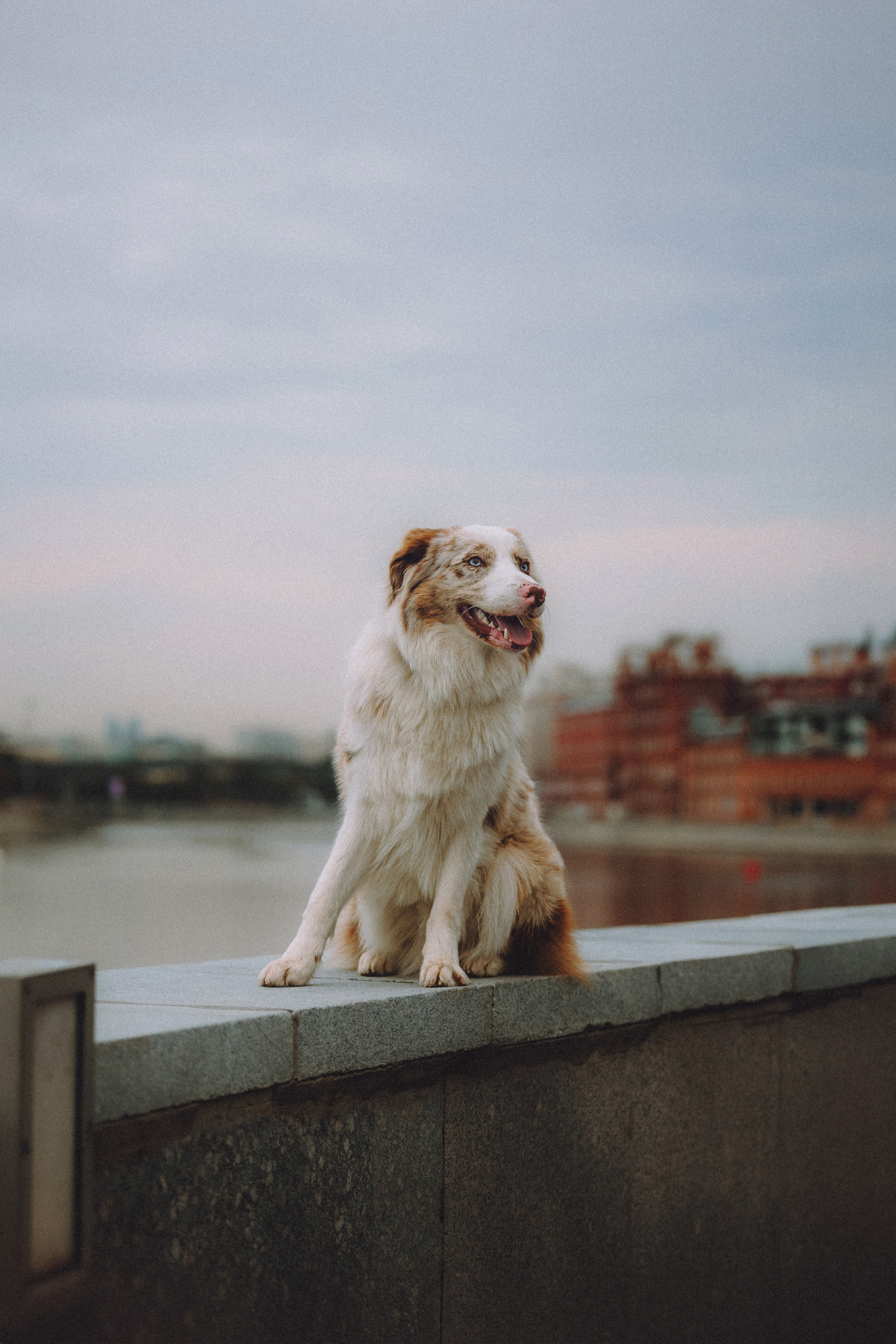 Один и его семья