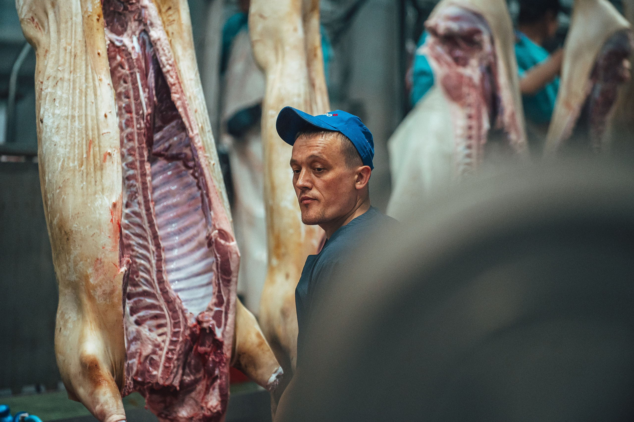 Свинокомплекс «СИБАГРО». Свадебная и концептуальная фотография в городе Улан-Удэ