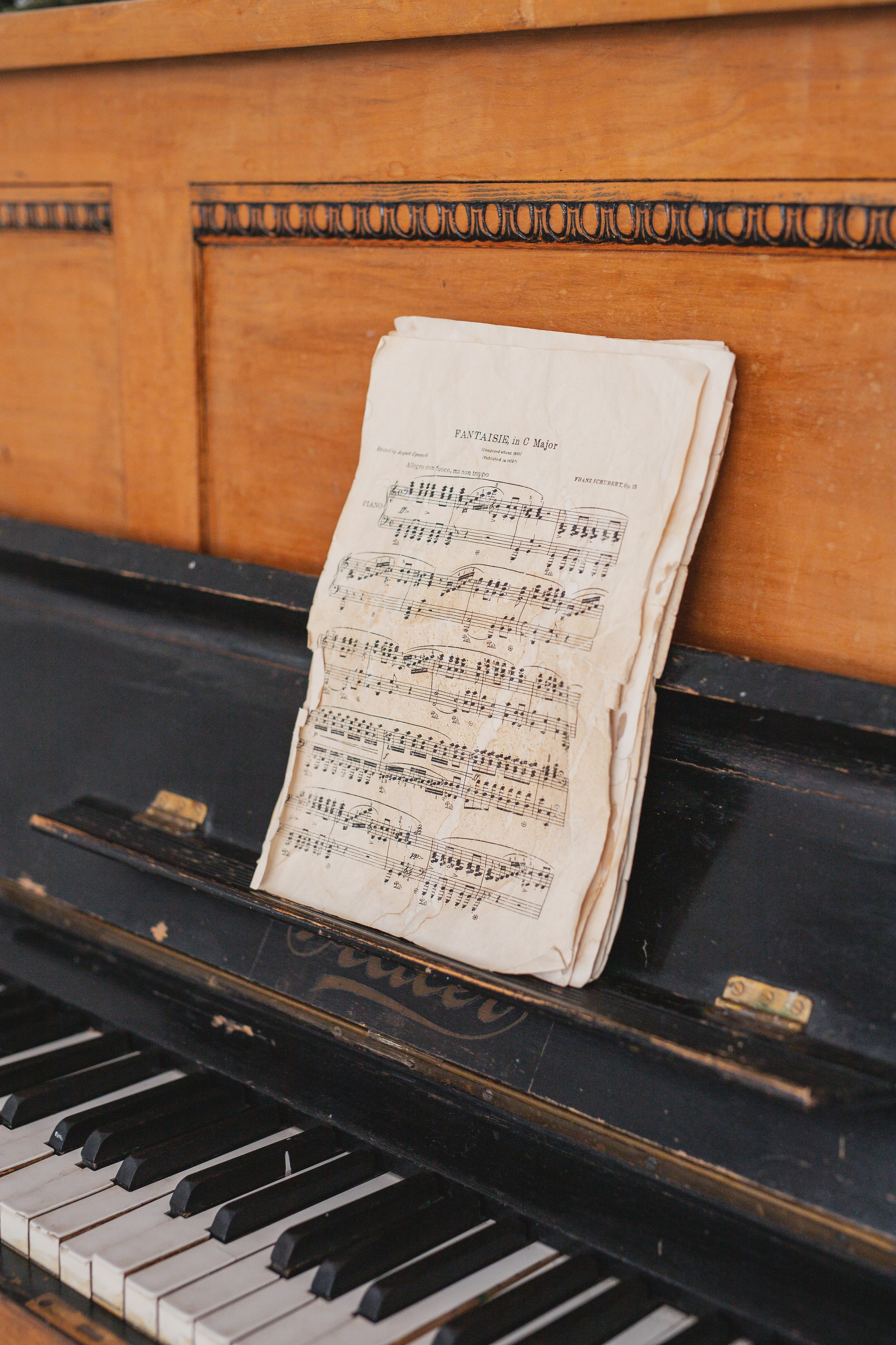 Виктория и Игорь. Фотограф Анастасия Петрова