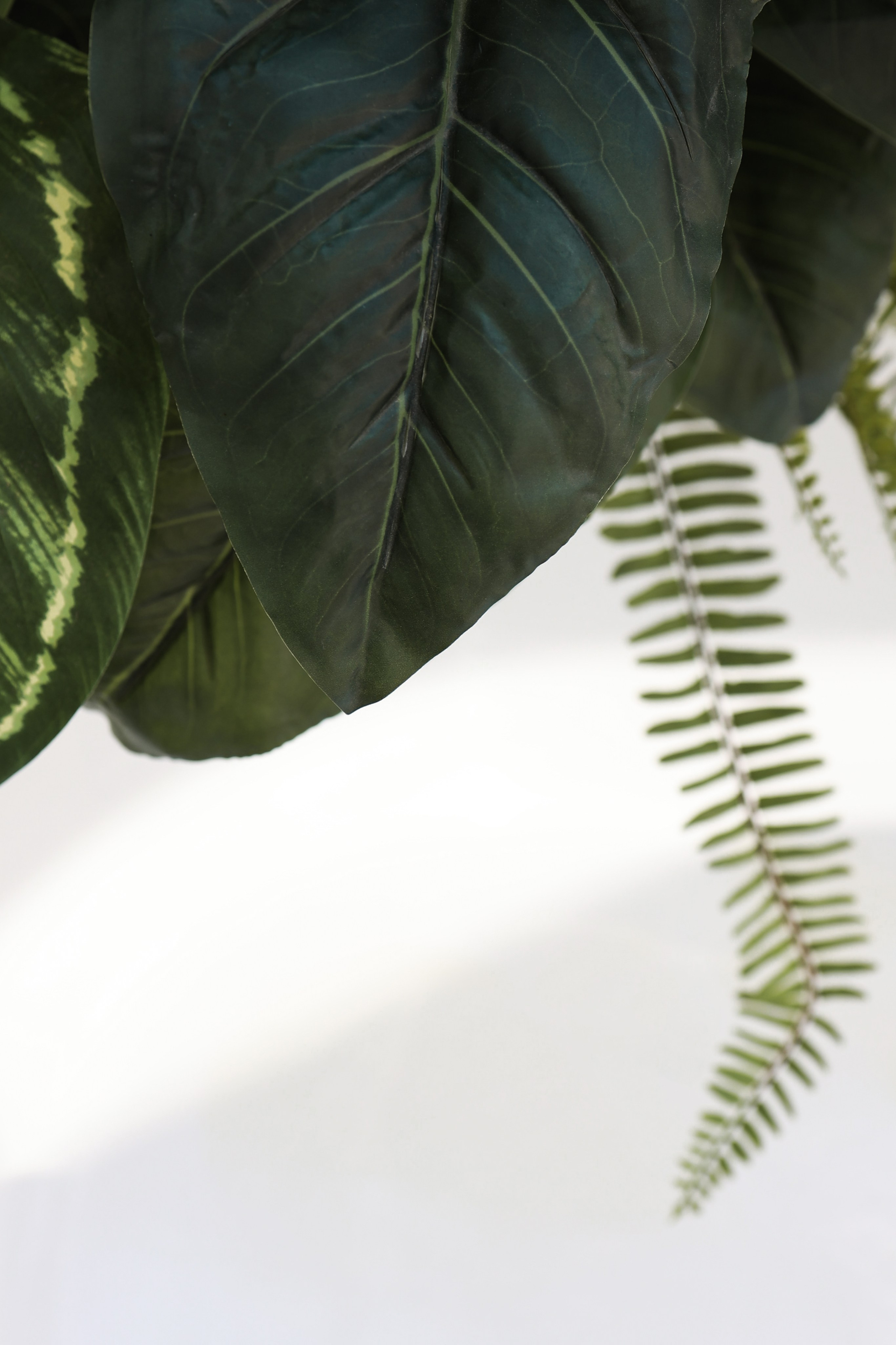 Руслана. Withlovent | Фотограф в Севастополе