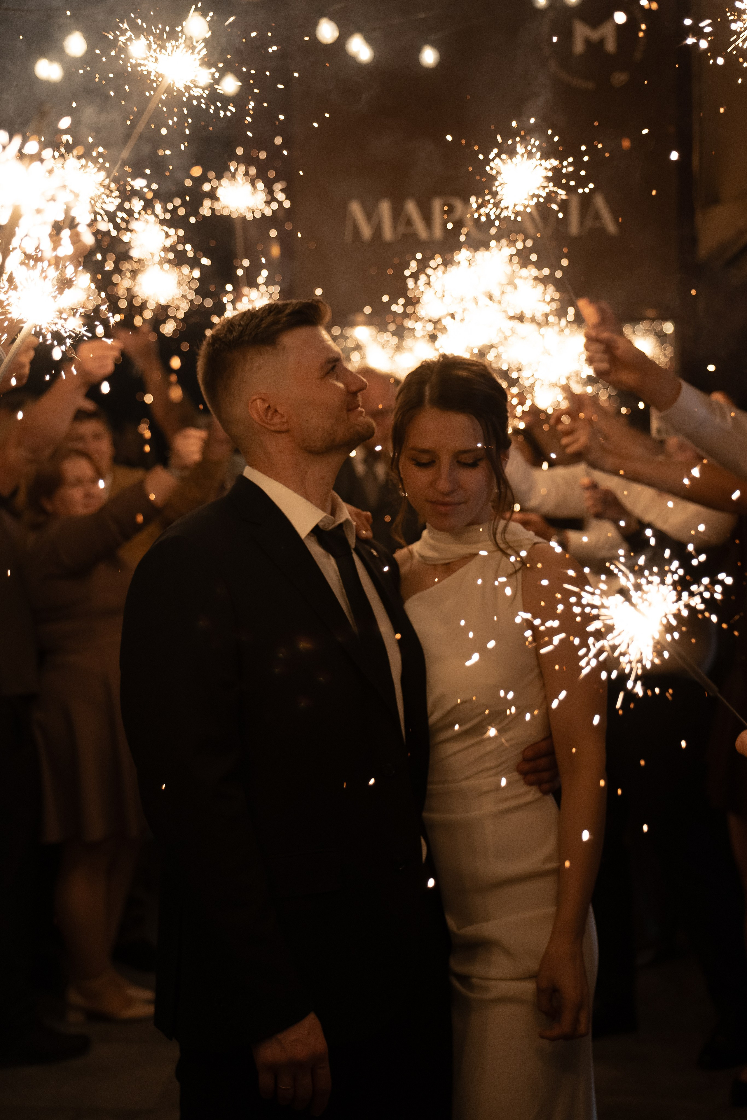 Серая кошка и рыжий кот. Свадебный и семейный фотограф Арина Кулёва