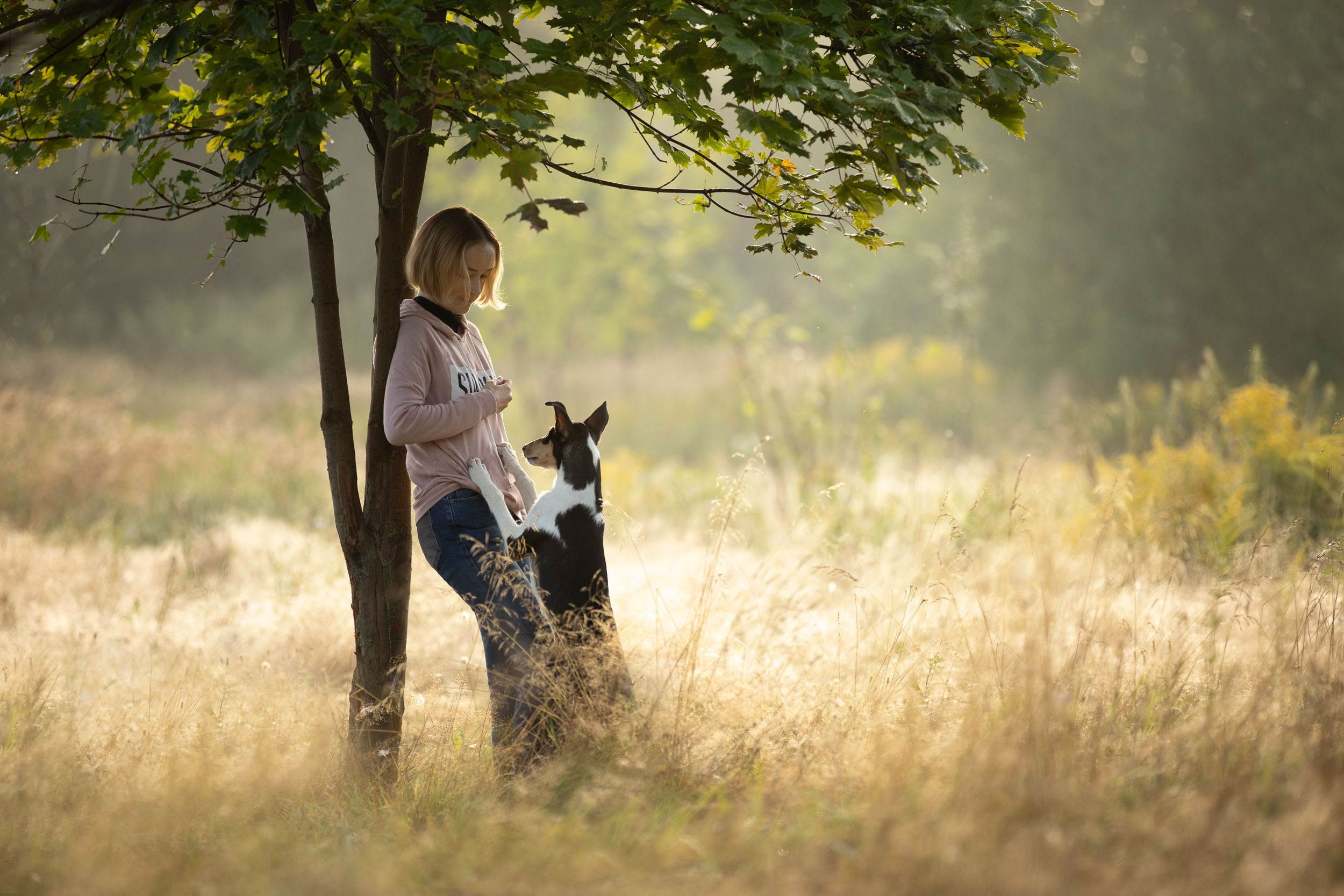 Наташа и короткошерстные колли. Фотограф-анималист в Москве и Московской области Татьяна Фролова