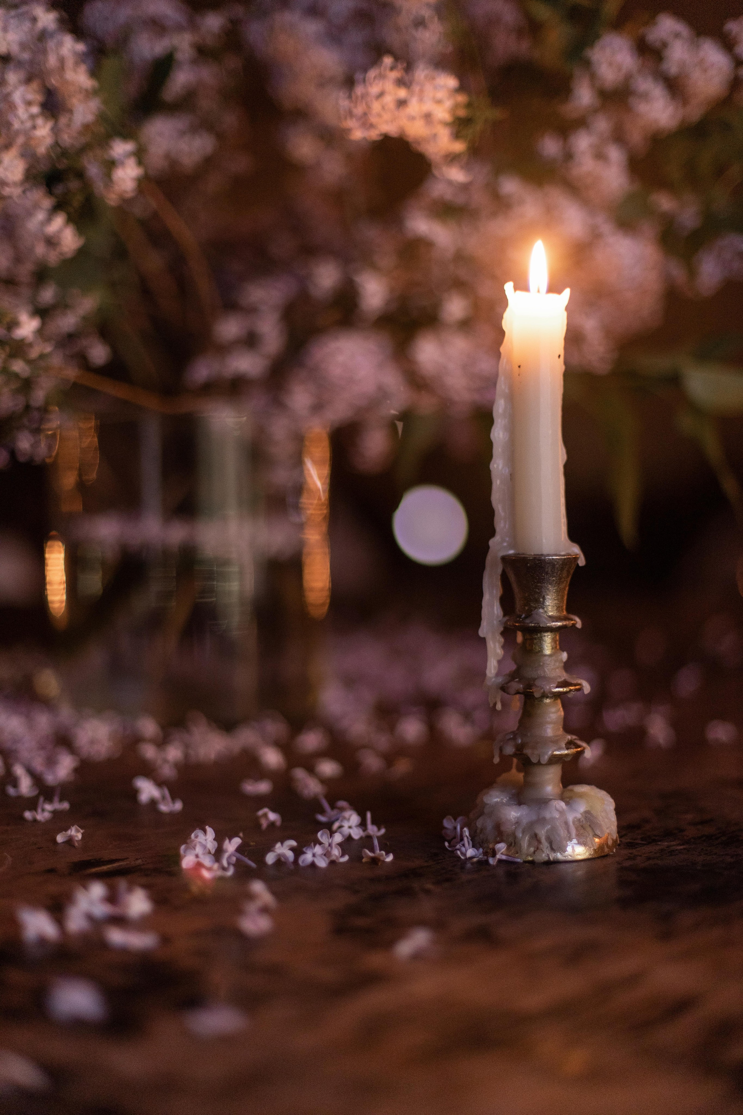 Кинопоказ в особняке. Фотограф в Москве Десятова Ксения