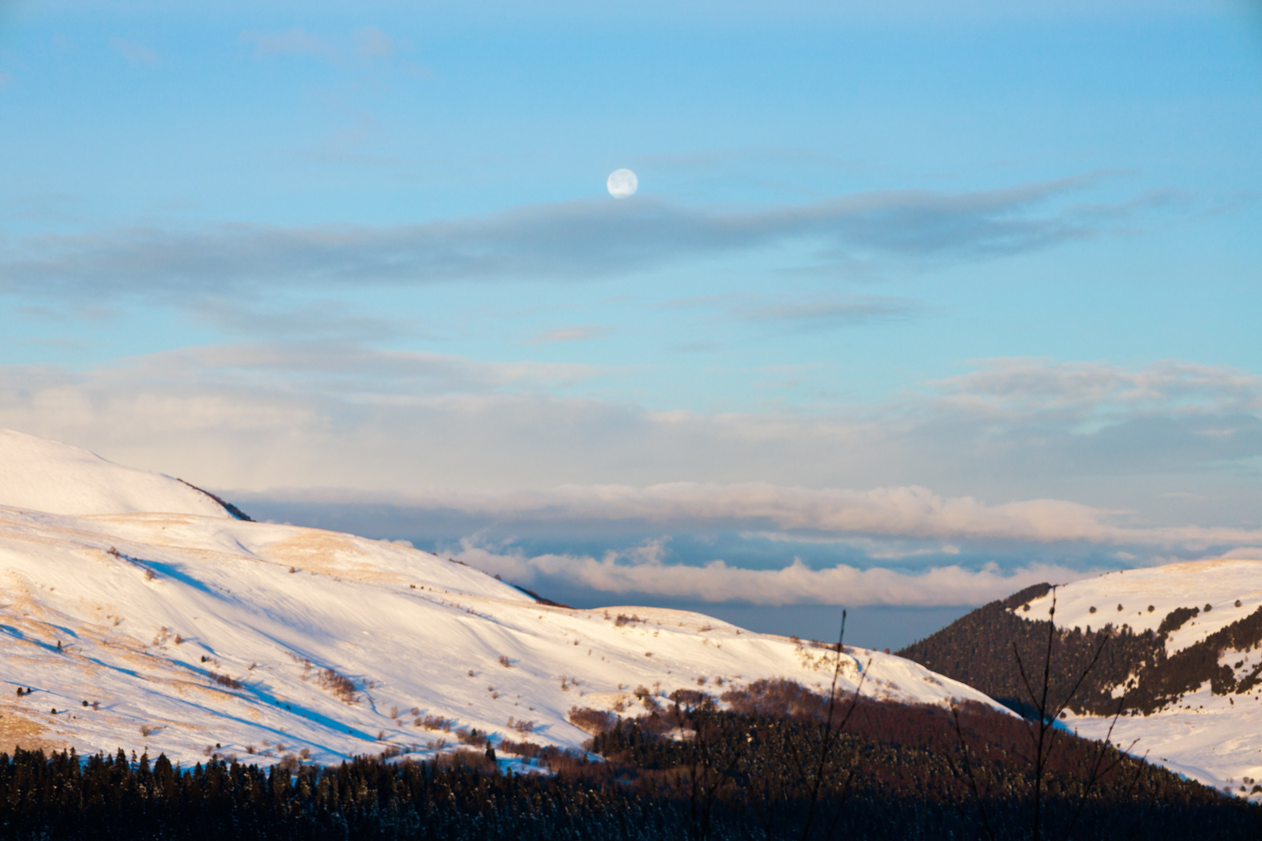 Адыгея. Лаго-Наки 27.01.24. Фотограф katya_vkadre Таганрог