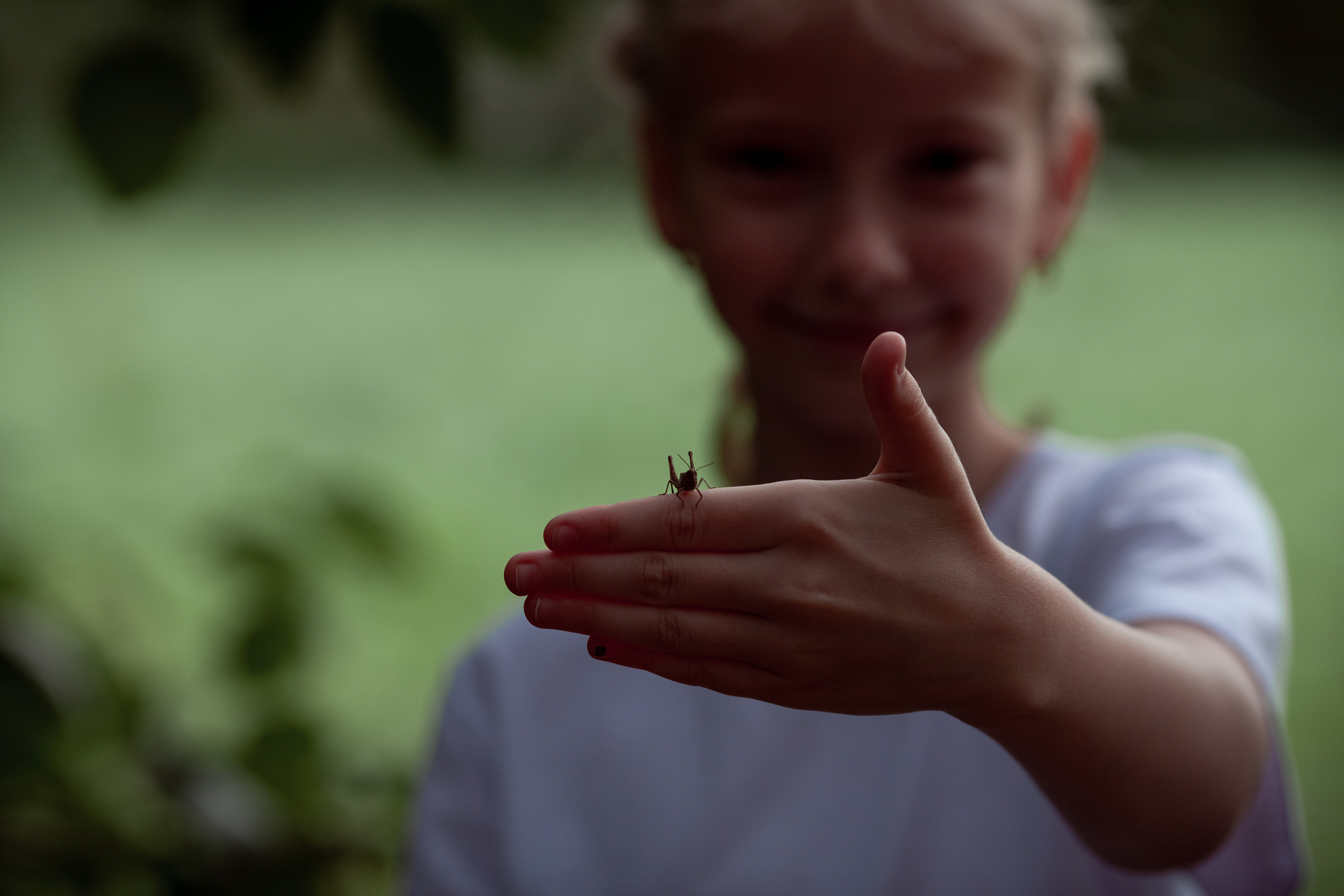 День рождение в красках холли. Семейный и детский фотограф в Москве Дорогова Екатерина