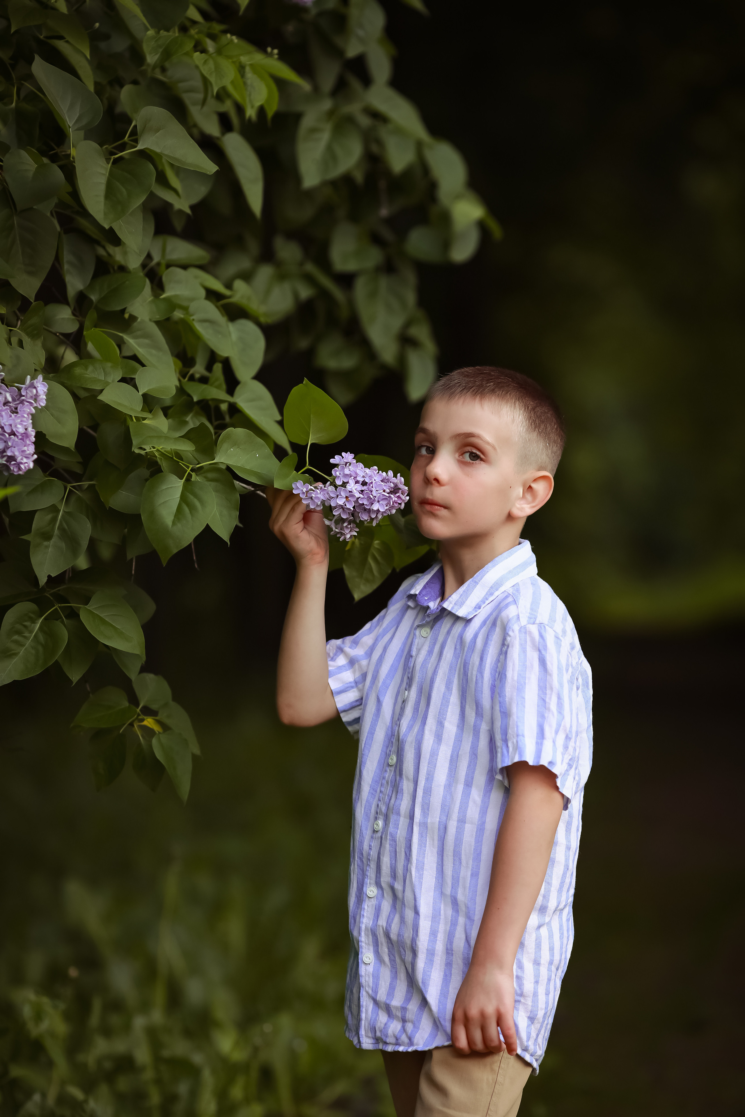 Детский портрет. Семейный и детский фотограф в Москве Дорогова Екатерина