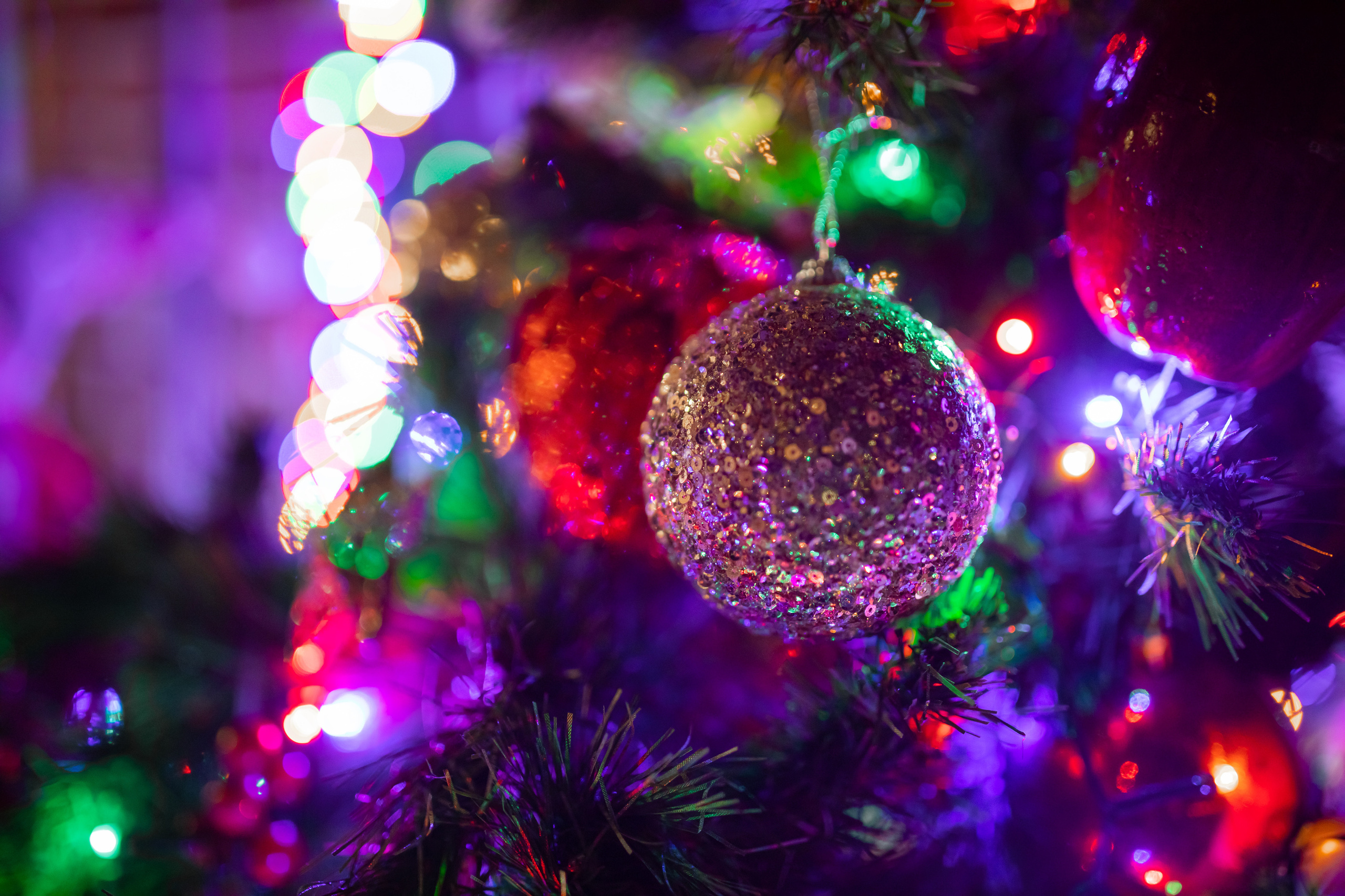 Новогодний корпоратив 2023. Семейный и детский фотограф в Москве Дорогова Екатерина