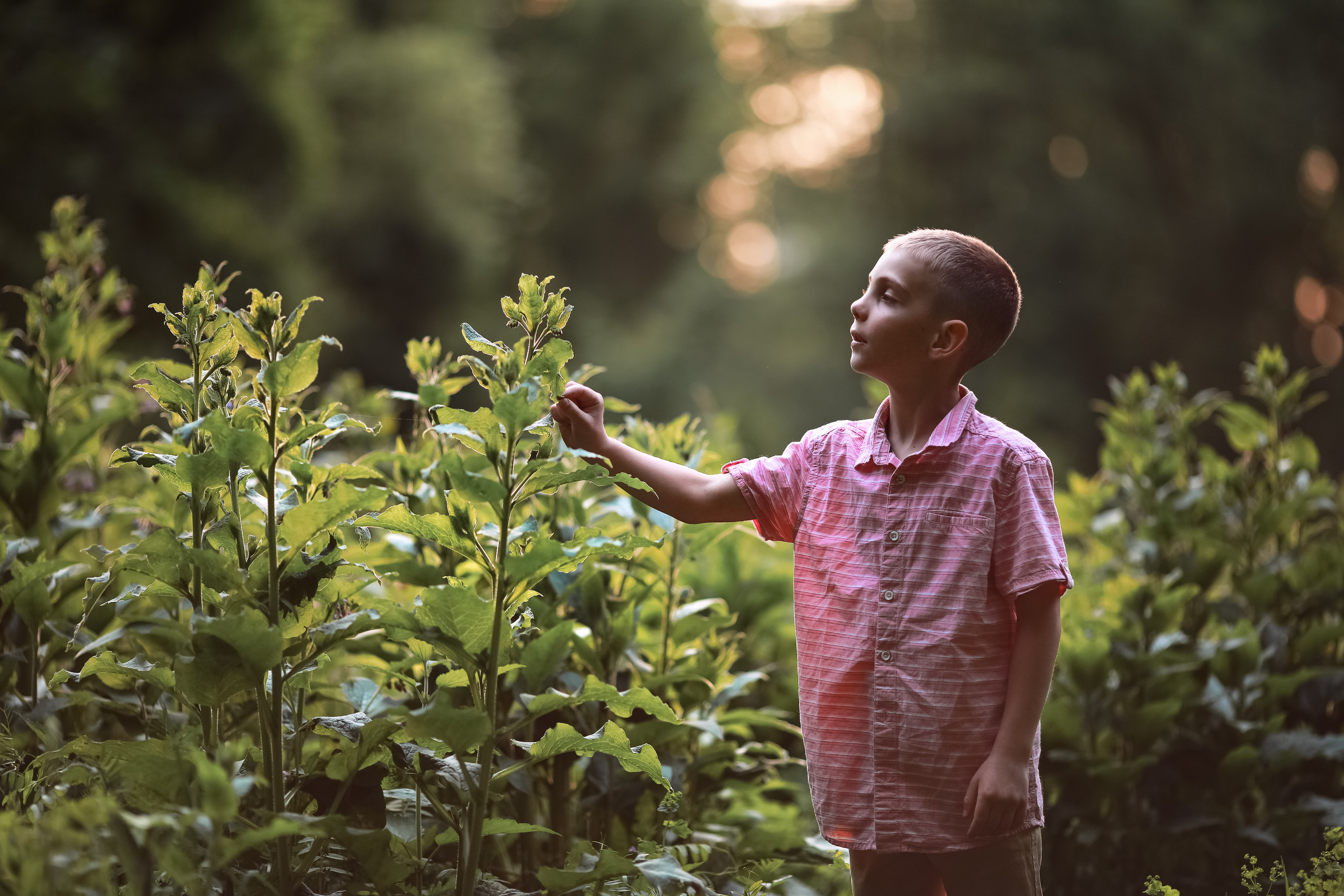 Николай, Надежда, Георгий и Лева. Семейный и детский фотограф в Москве Дорогова Екатерина