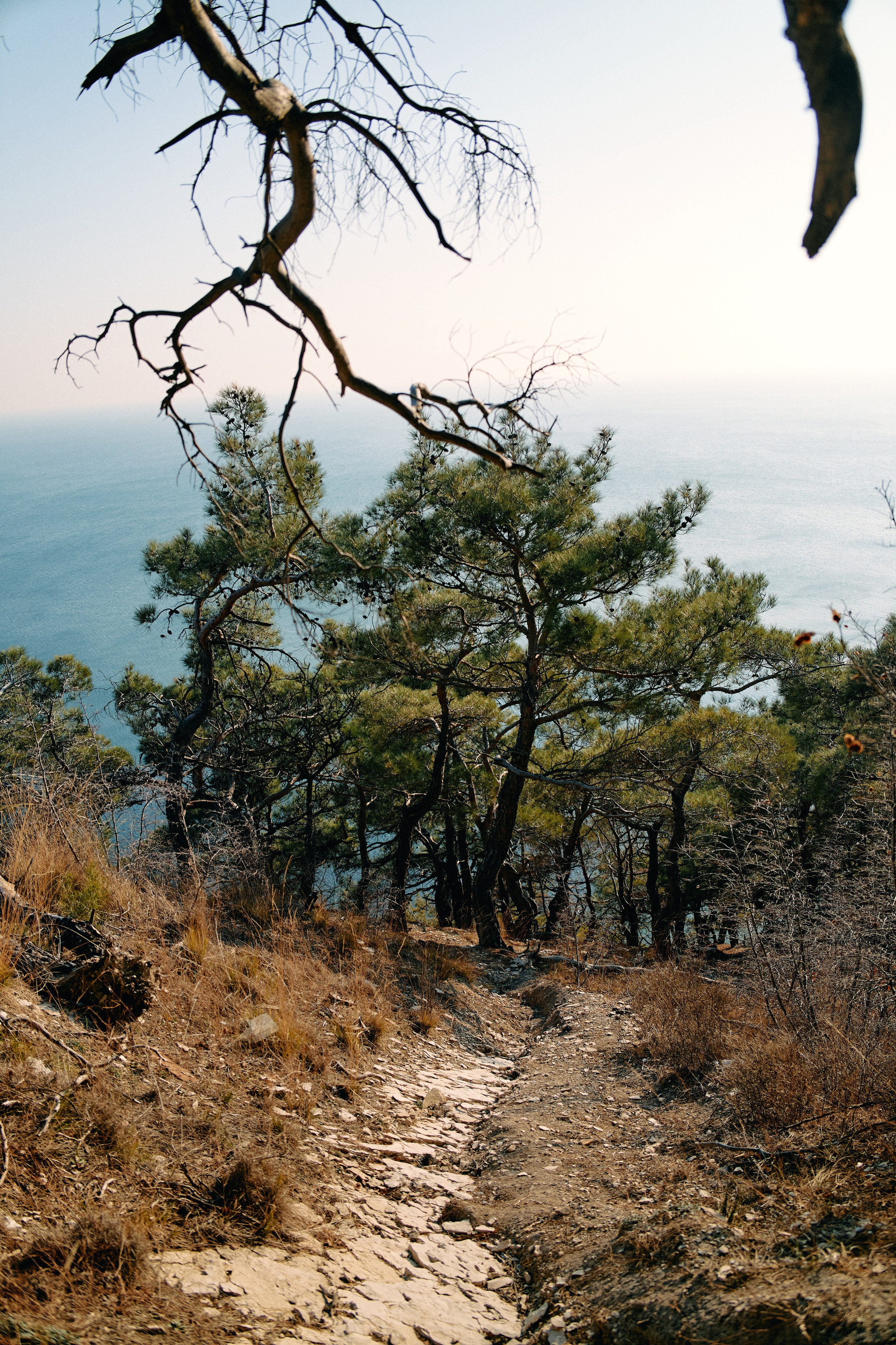 Юг России. Профессиональный Фотограф во Владимире, в Москве и в Суздале — Полина Романычева