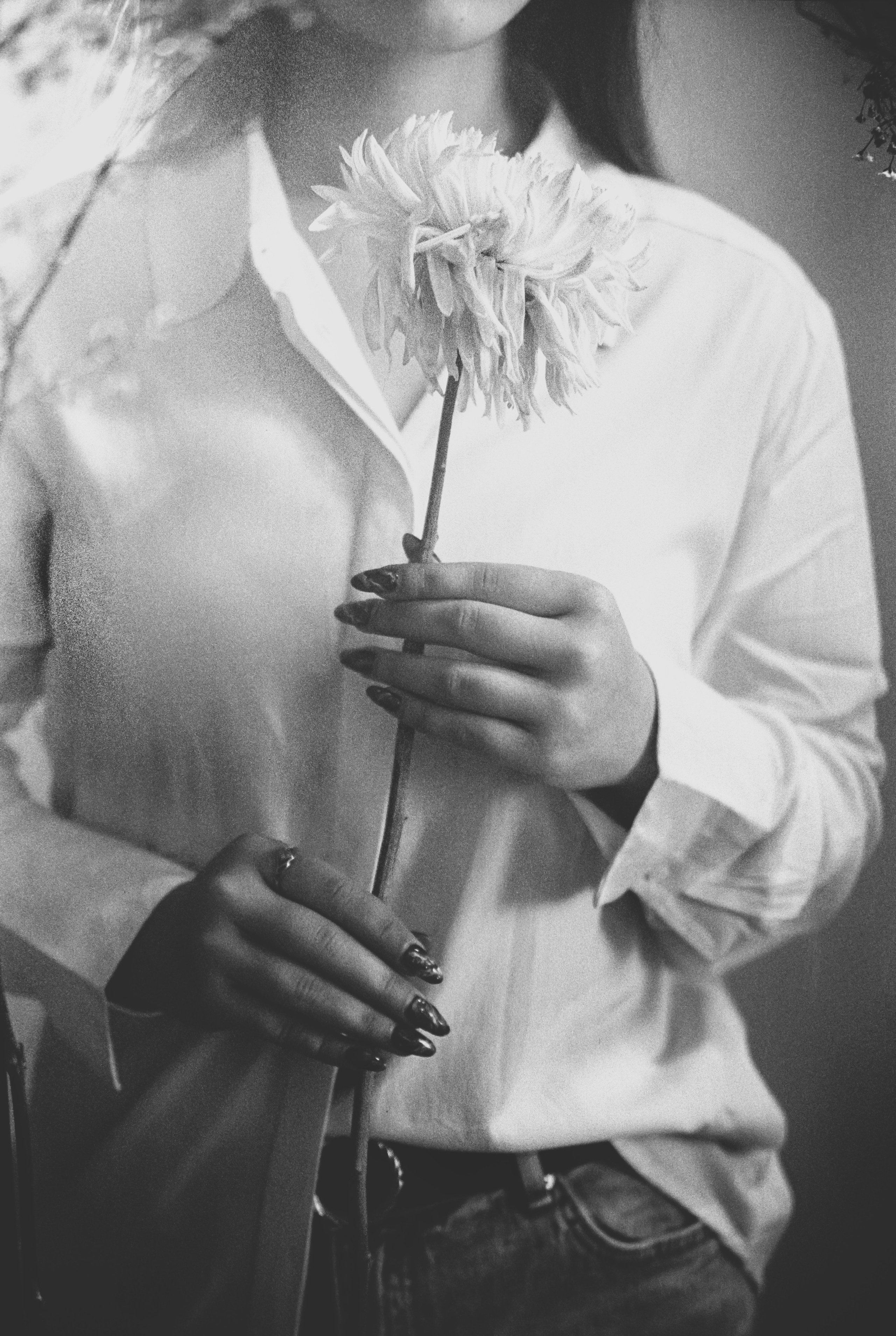 Пленочная история. Дмитрий Пропадалин, Нейрофотография