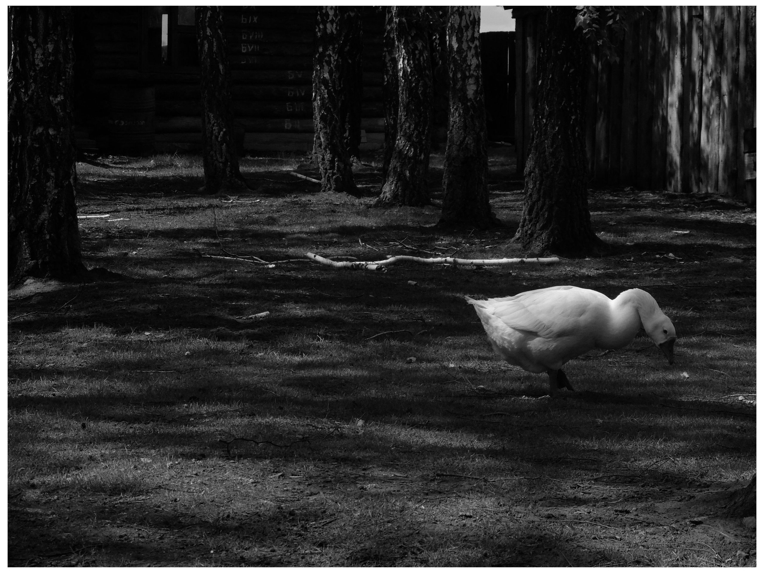 Промежуточные моменты (2022)