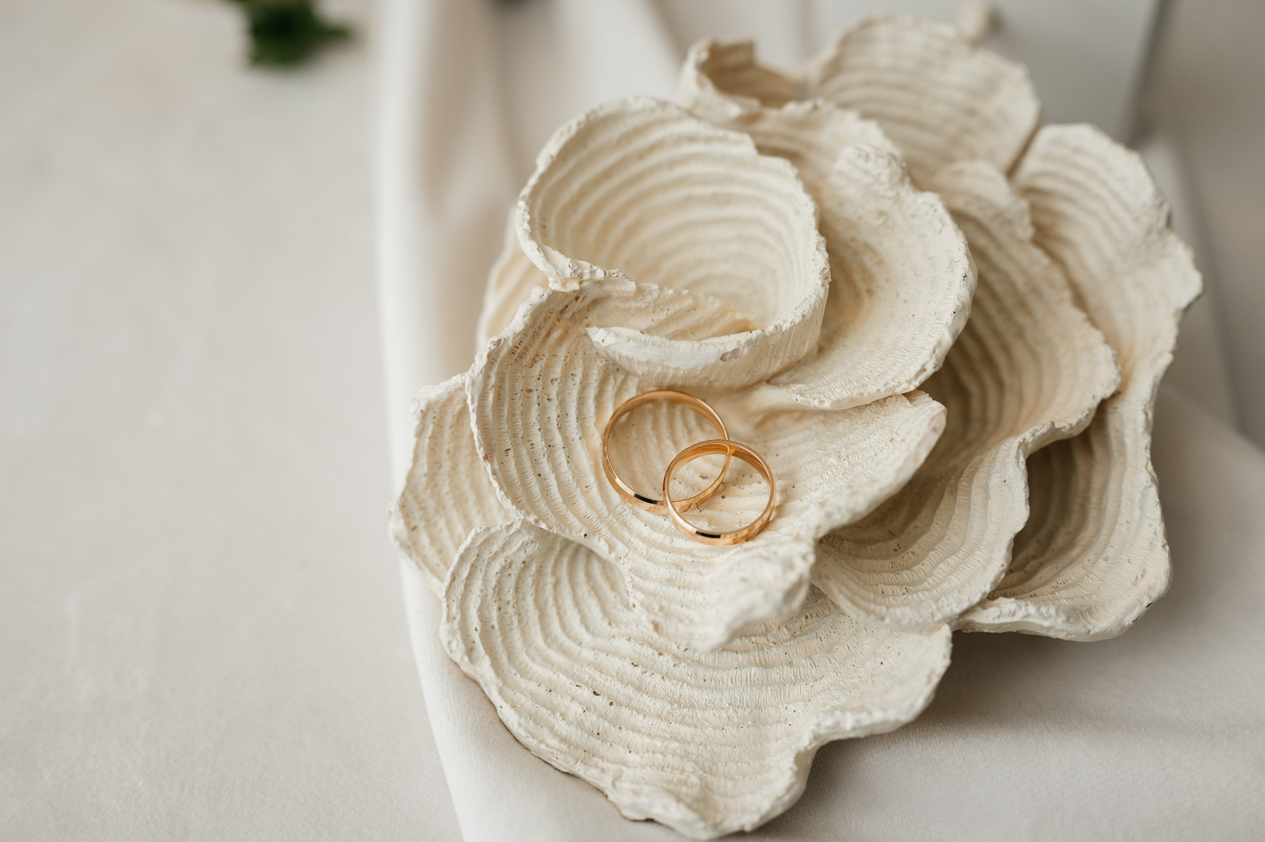 Антон и Таня. Свадебный и семейный фотограф в Краснодаре Алина Мельник