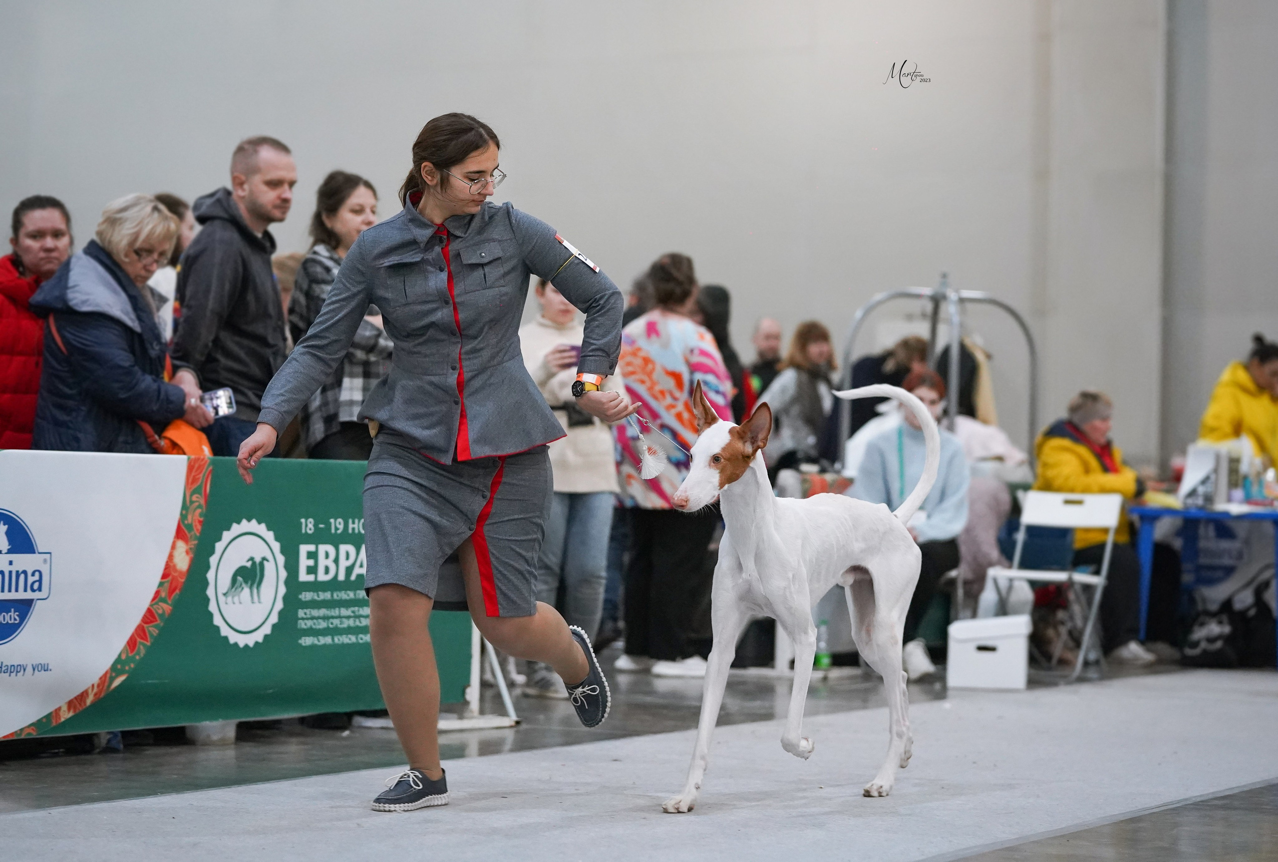 Выставки 2023. Фотограф-анималист в Санкт-Петербурге Яна Мартынова