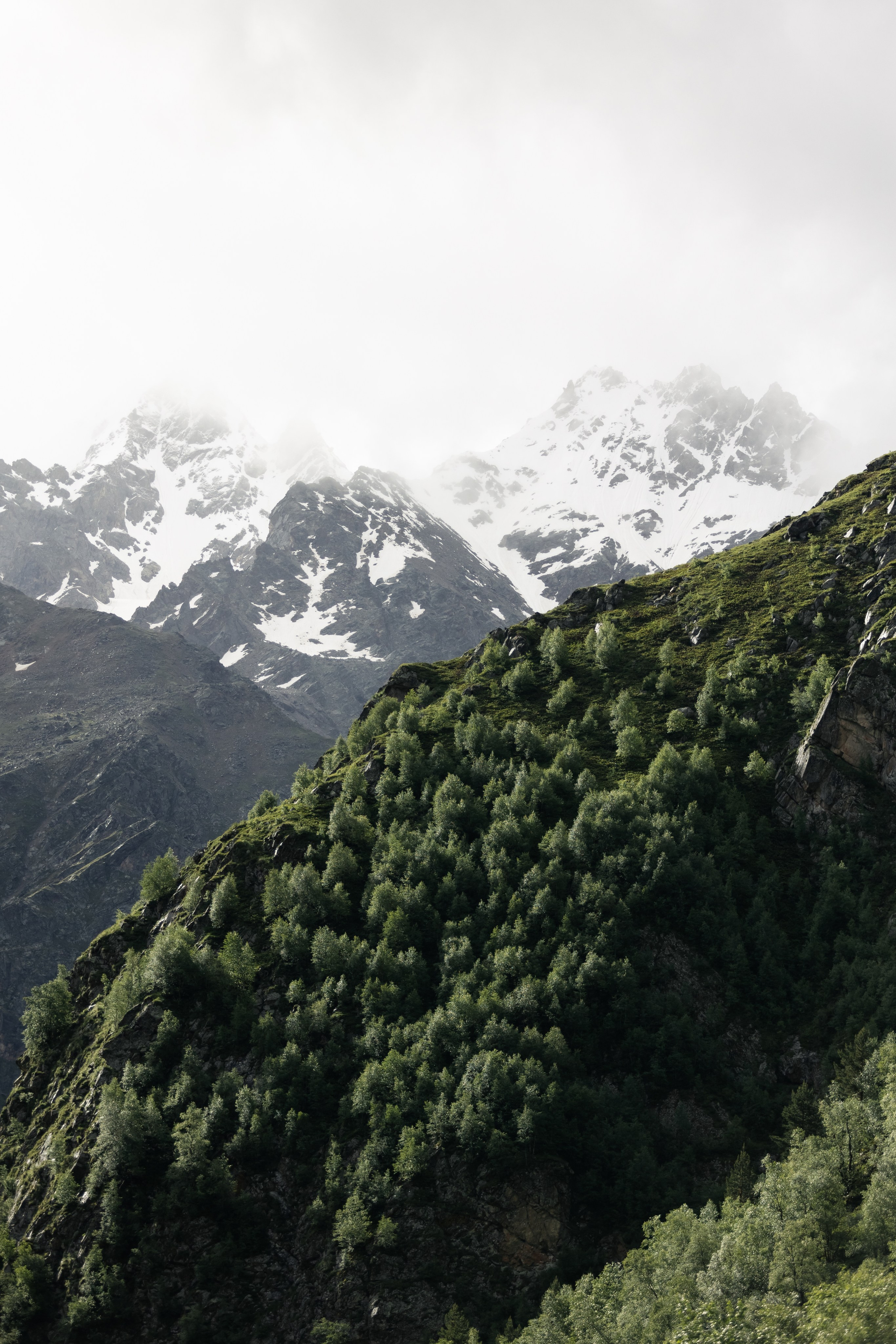 NORTHLAND. Вадим Ветров