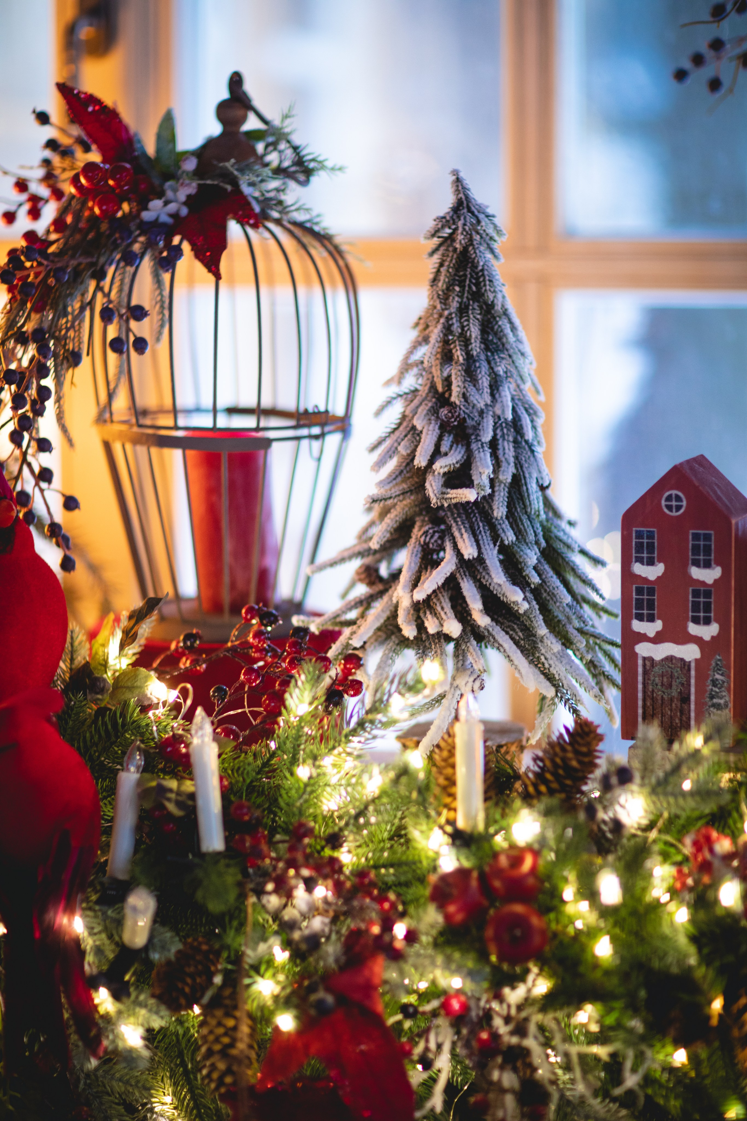 Домик в лесу. Семейный фотограф в Москве Анастасия Гурьянова