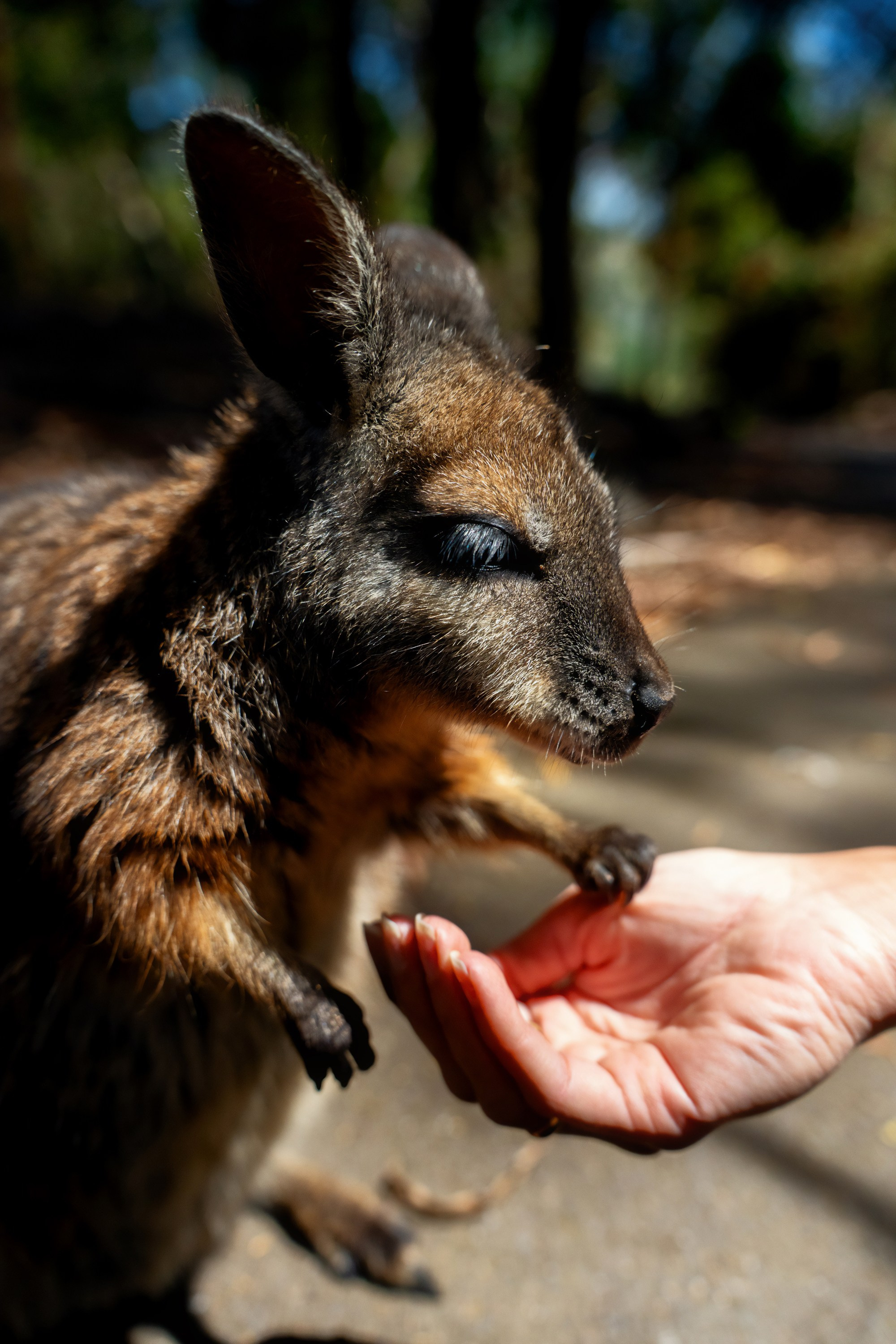 Путешествия. Фотограф в Хабаровске. Фотография за 24 часа
