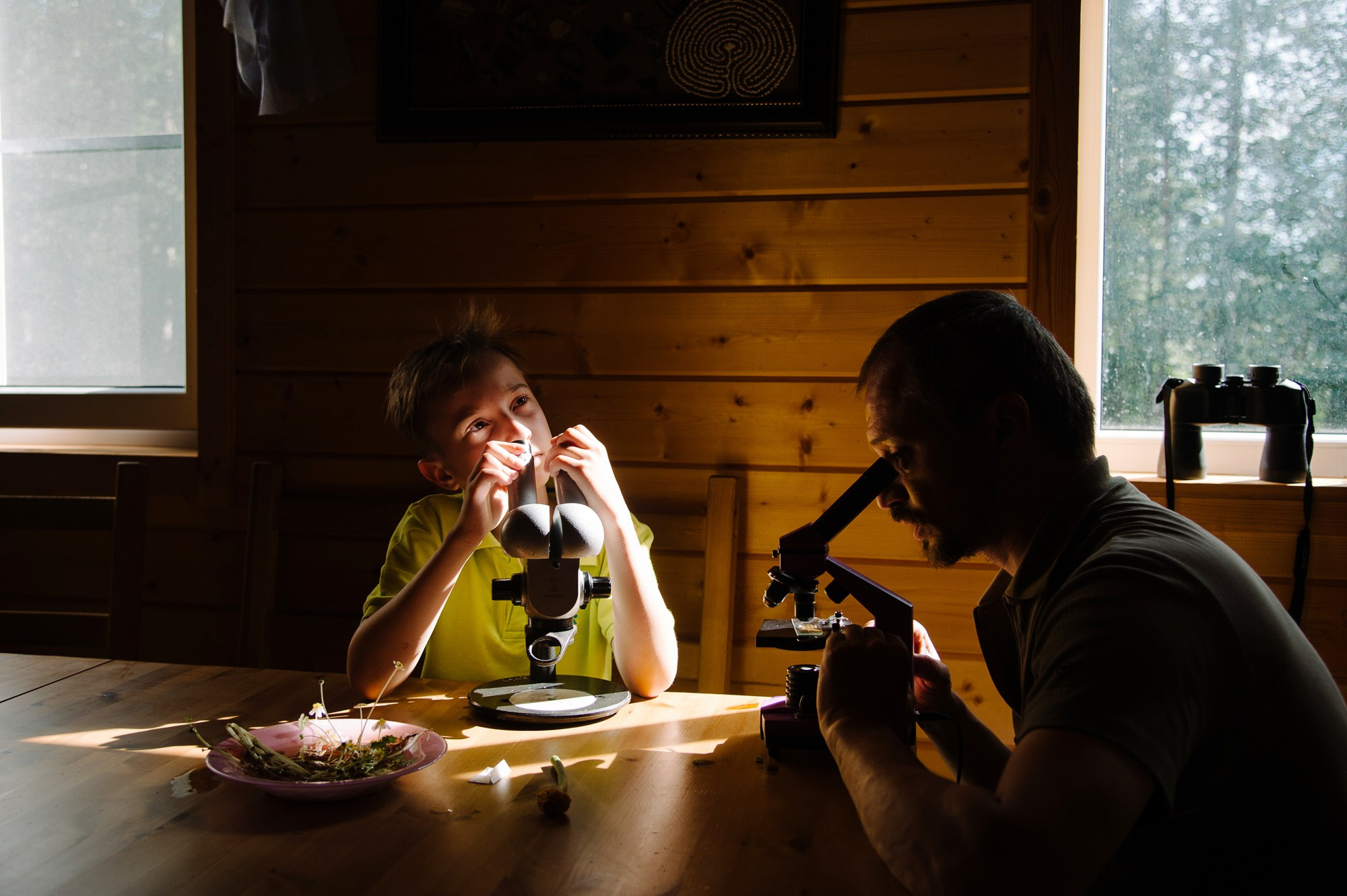 Белое море биологи. Фотограф Алиса Калинина