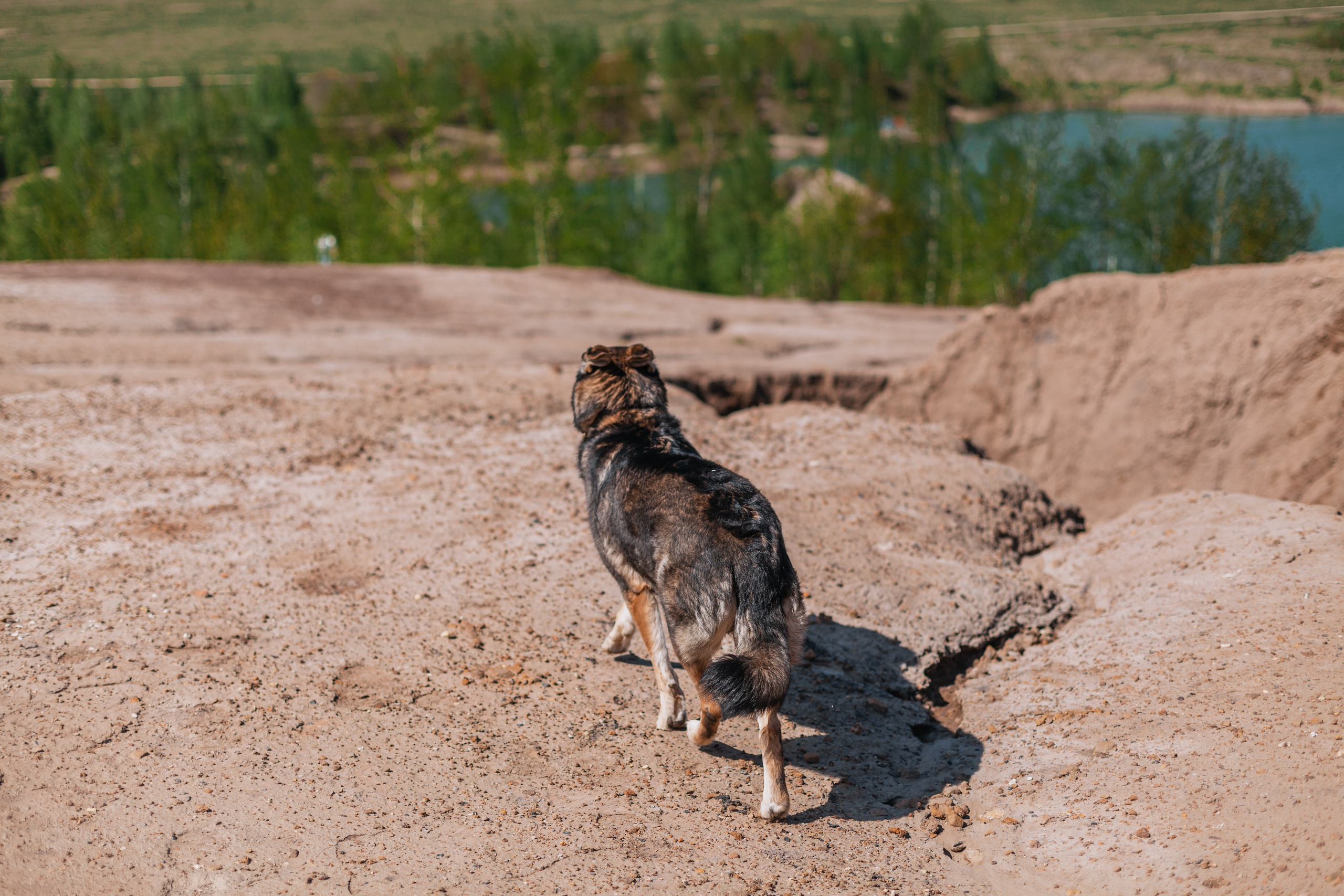 Кондуки. Фотограф-анималист Татьяна Степанова