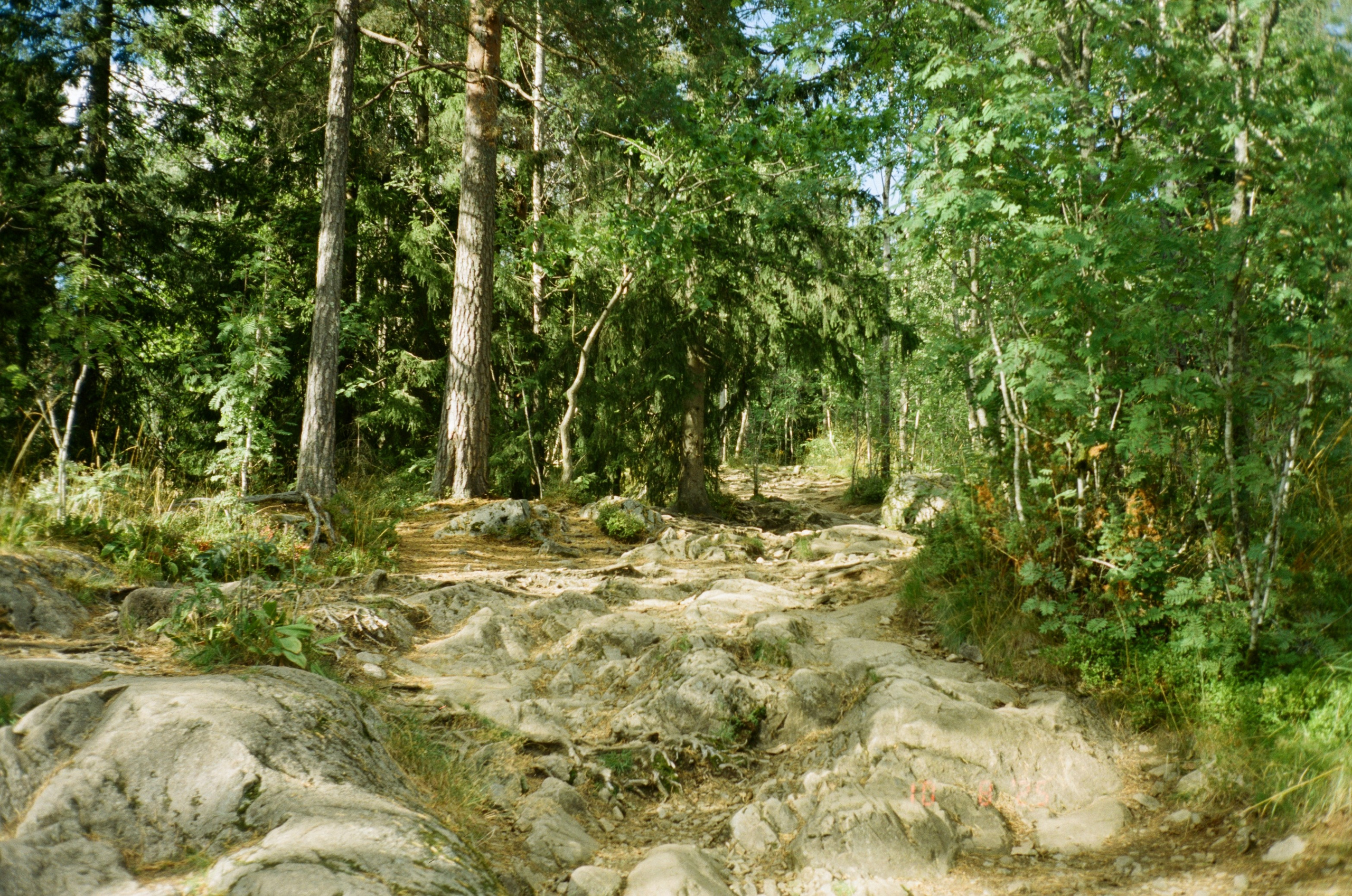 Oslo. Regina Platonova