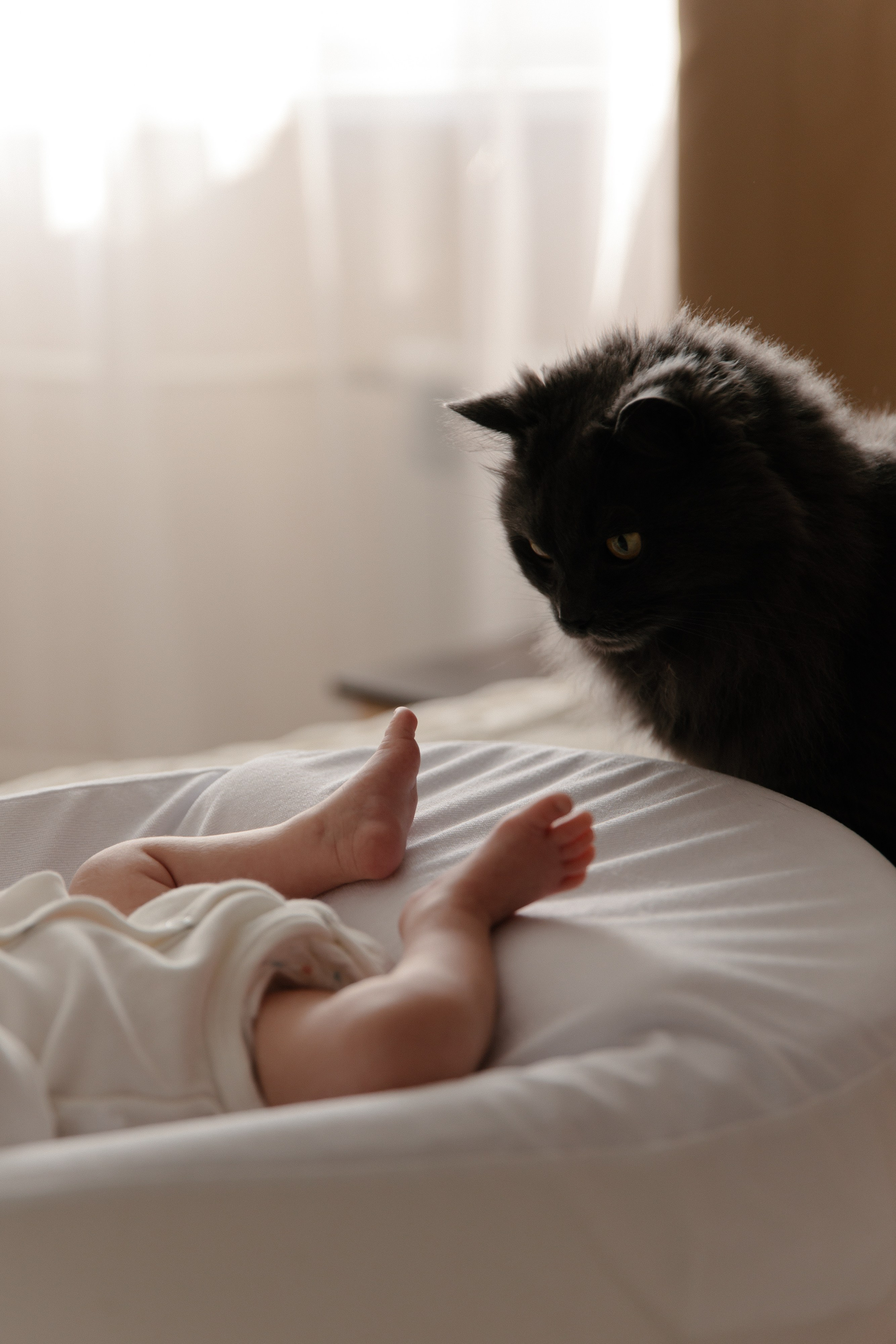 Кира. Фотограф Влада Лаптева Владивосток, Приморский край