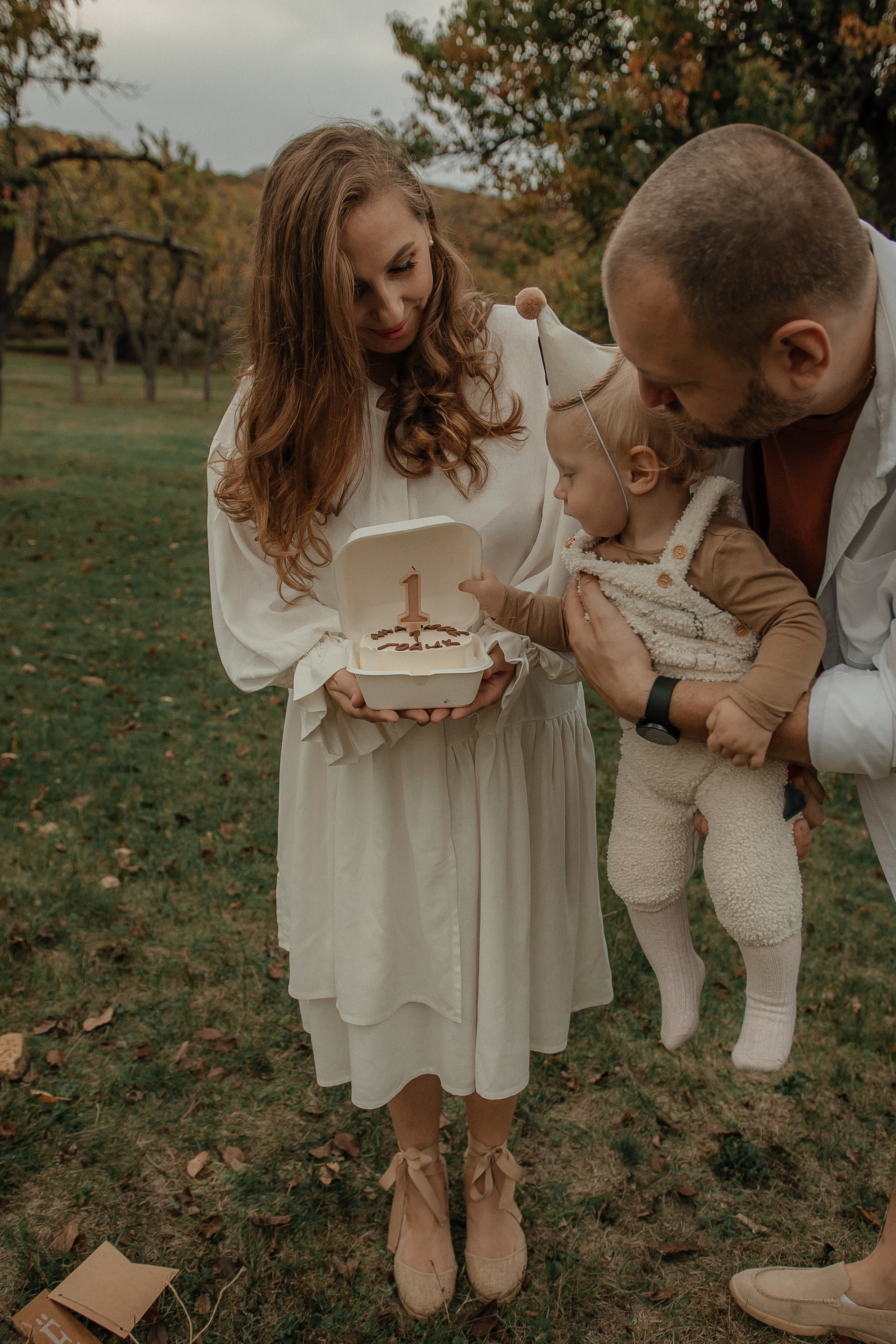 Условия и стоимость