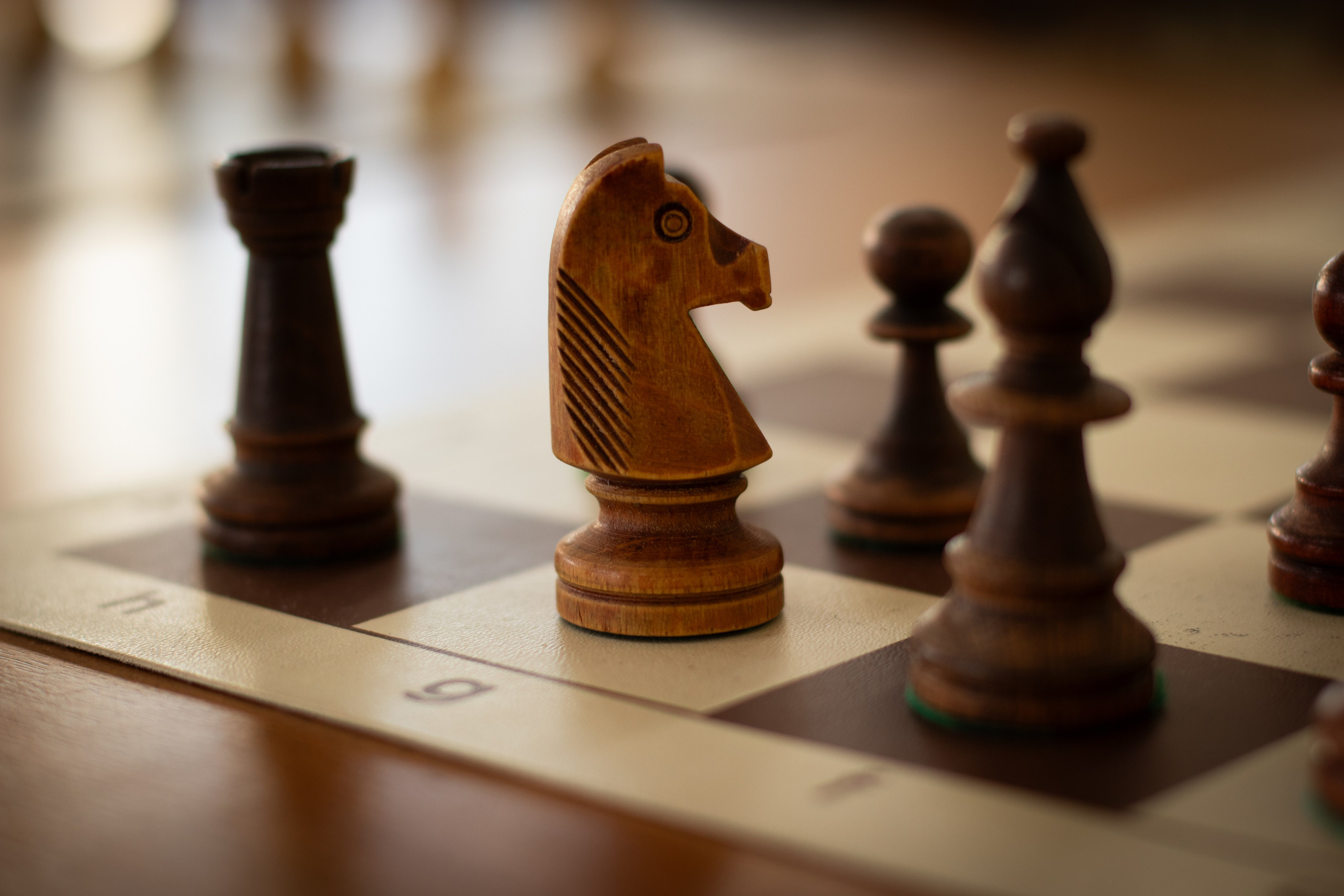 Школа шахмат «Открытие». Фотограф в Нижнем Новгороде Екатерина Хисматулина