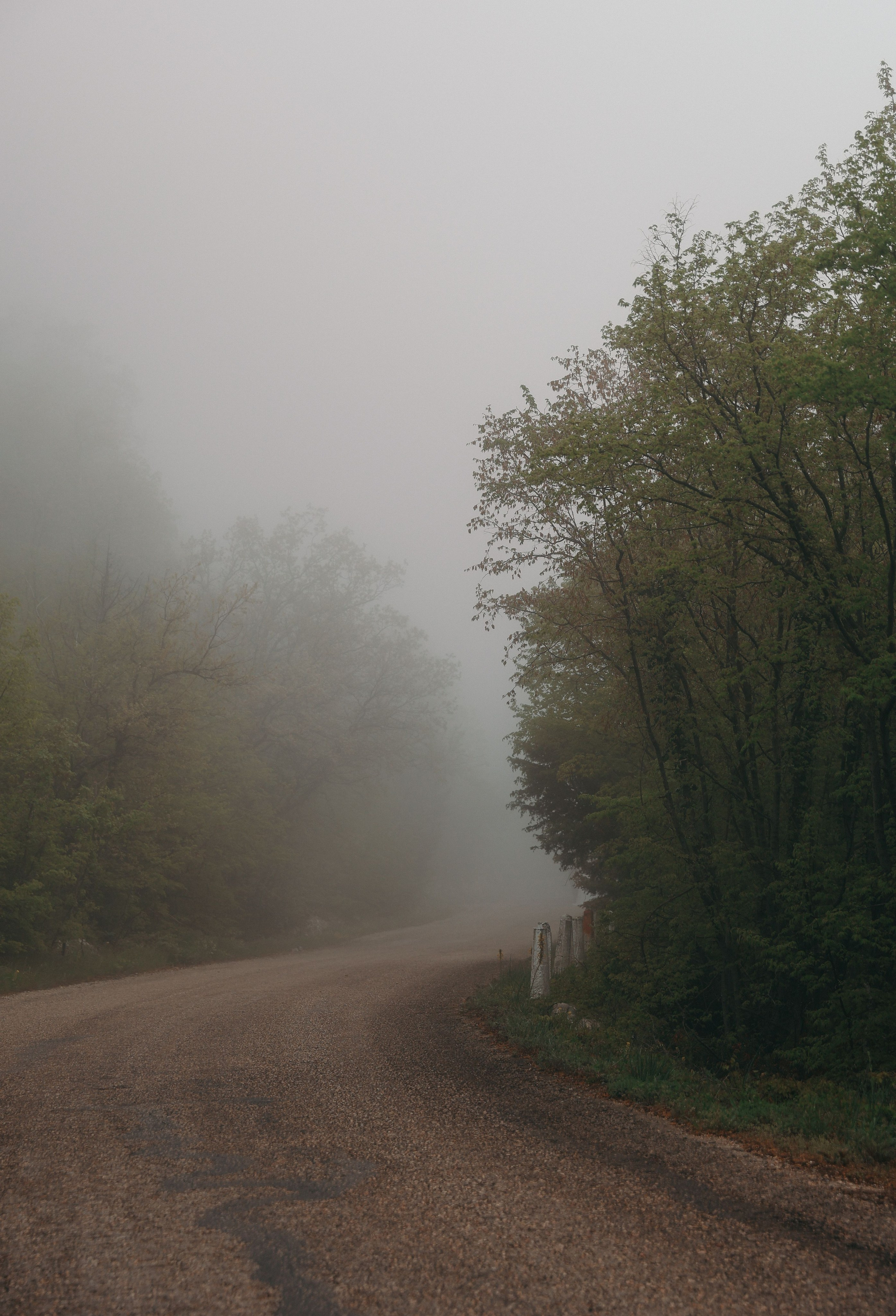 Анонс свадьба Владимир и Анастасия. Свадебный и семейный фотограф в Севастополе и Крыму Анастасия Сураева