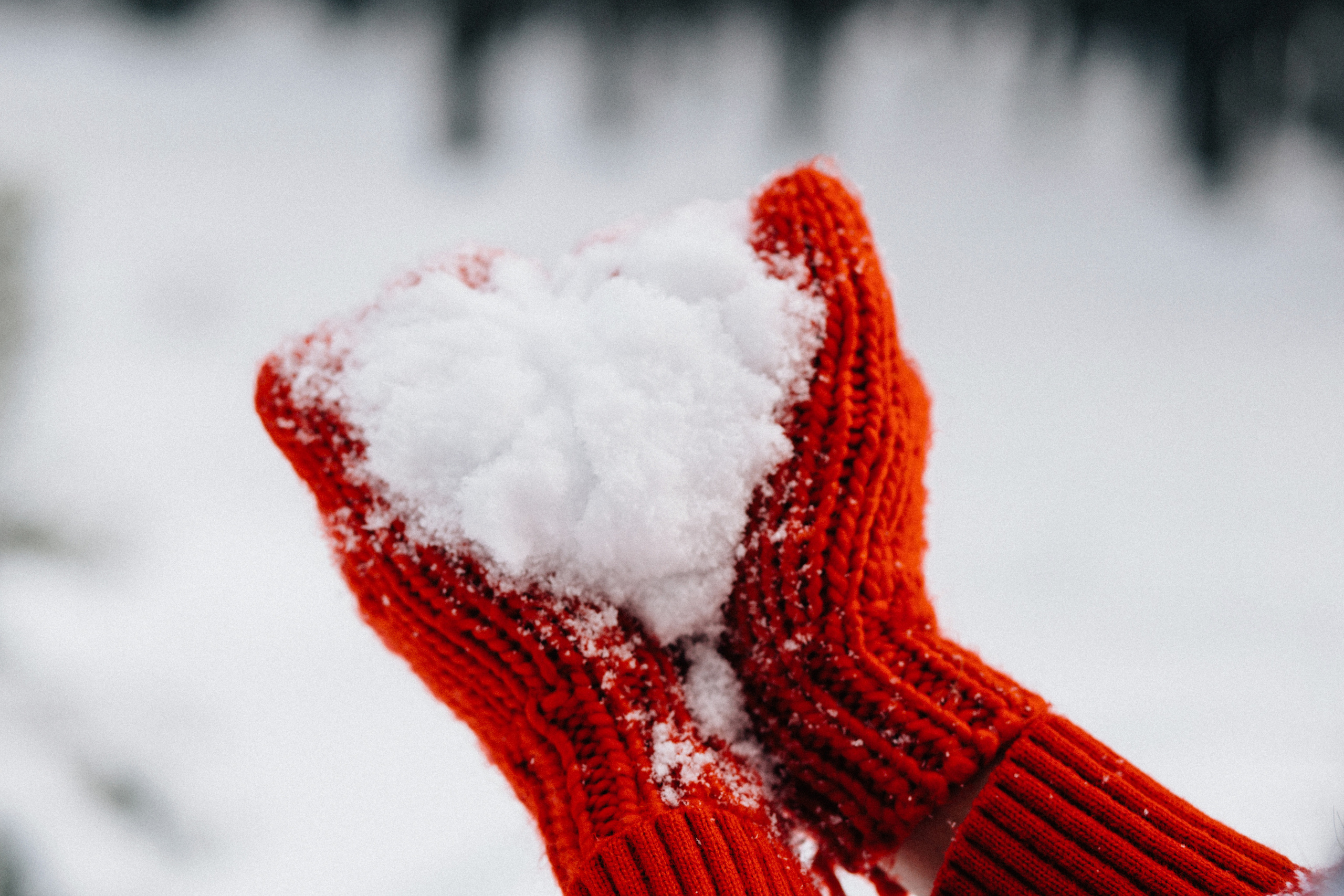 Зимняя история. Фотограф в Тамбове Ольга Мельникова